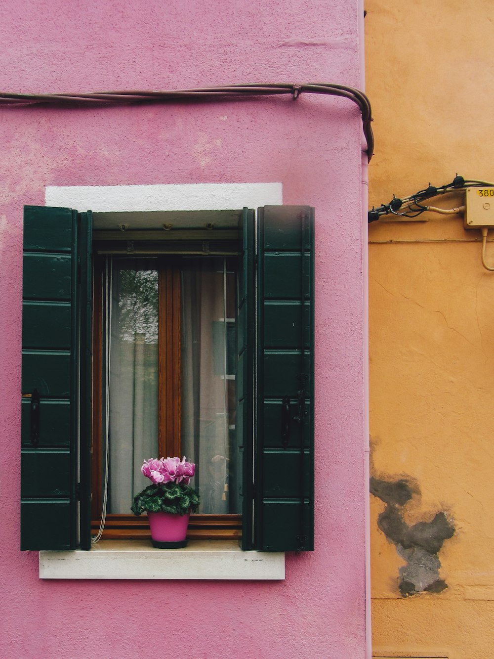 a window with a door and a plant in it