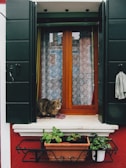 A cozy cat lounging on a windowsill in a London apartment.