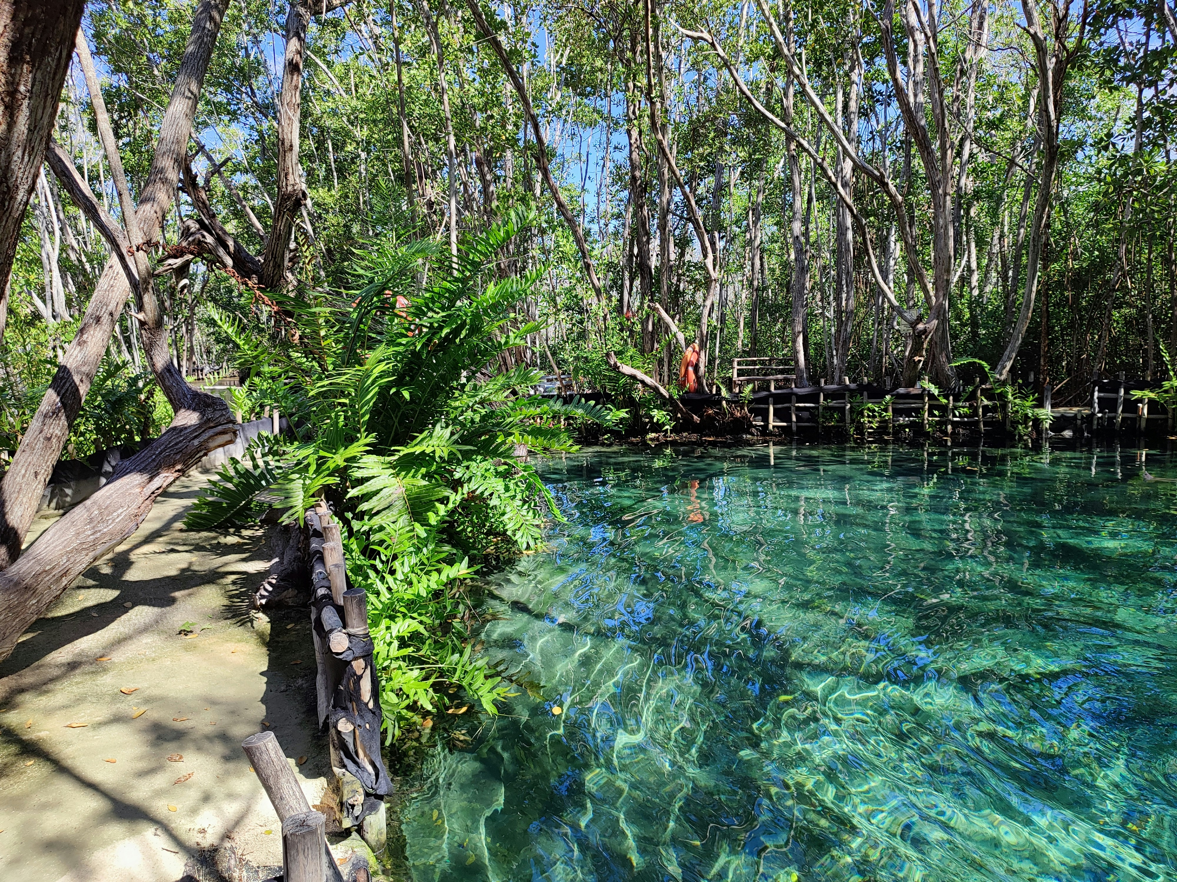 a body of water surrounded by trees, 