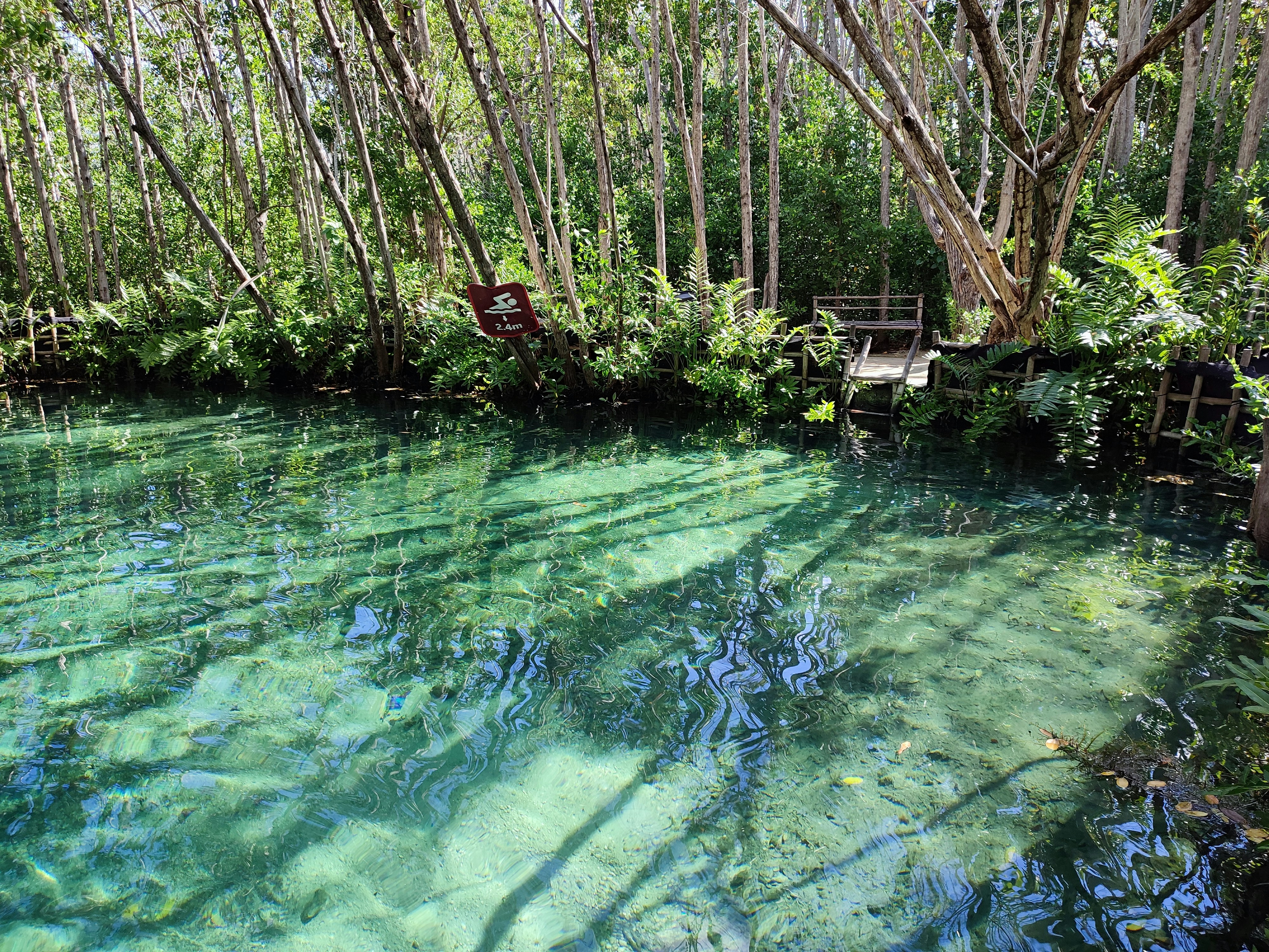 Photo by tulip_sunflower