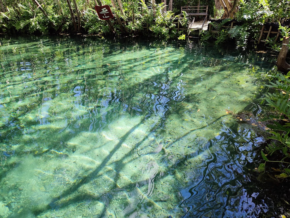 a pool of water with a bench