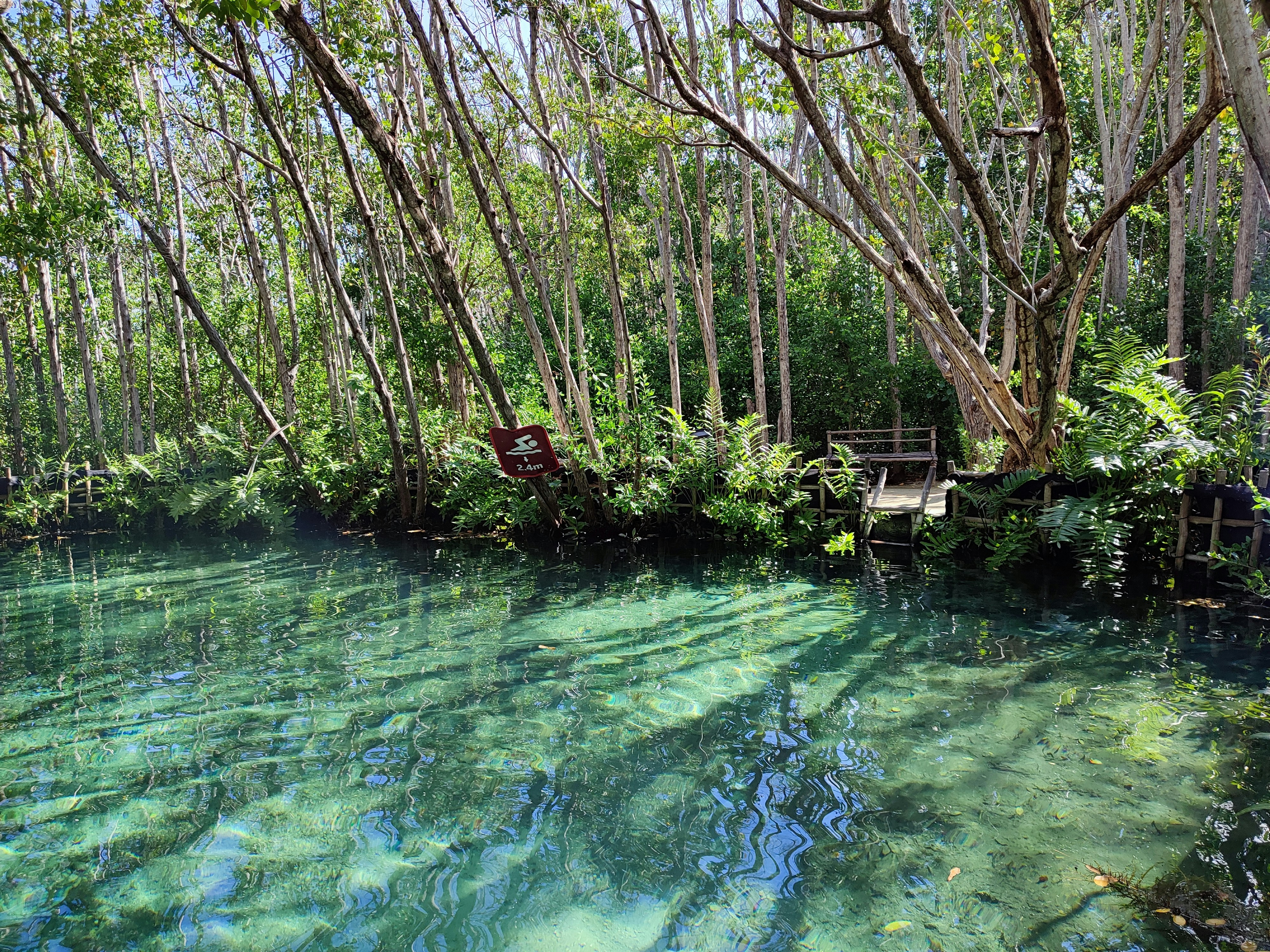 a small pond with a bridge, 