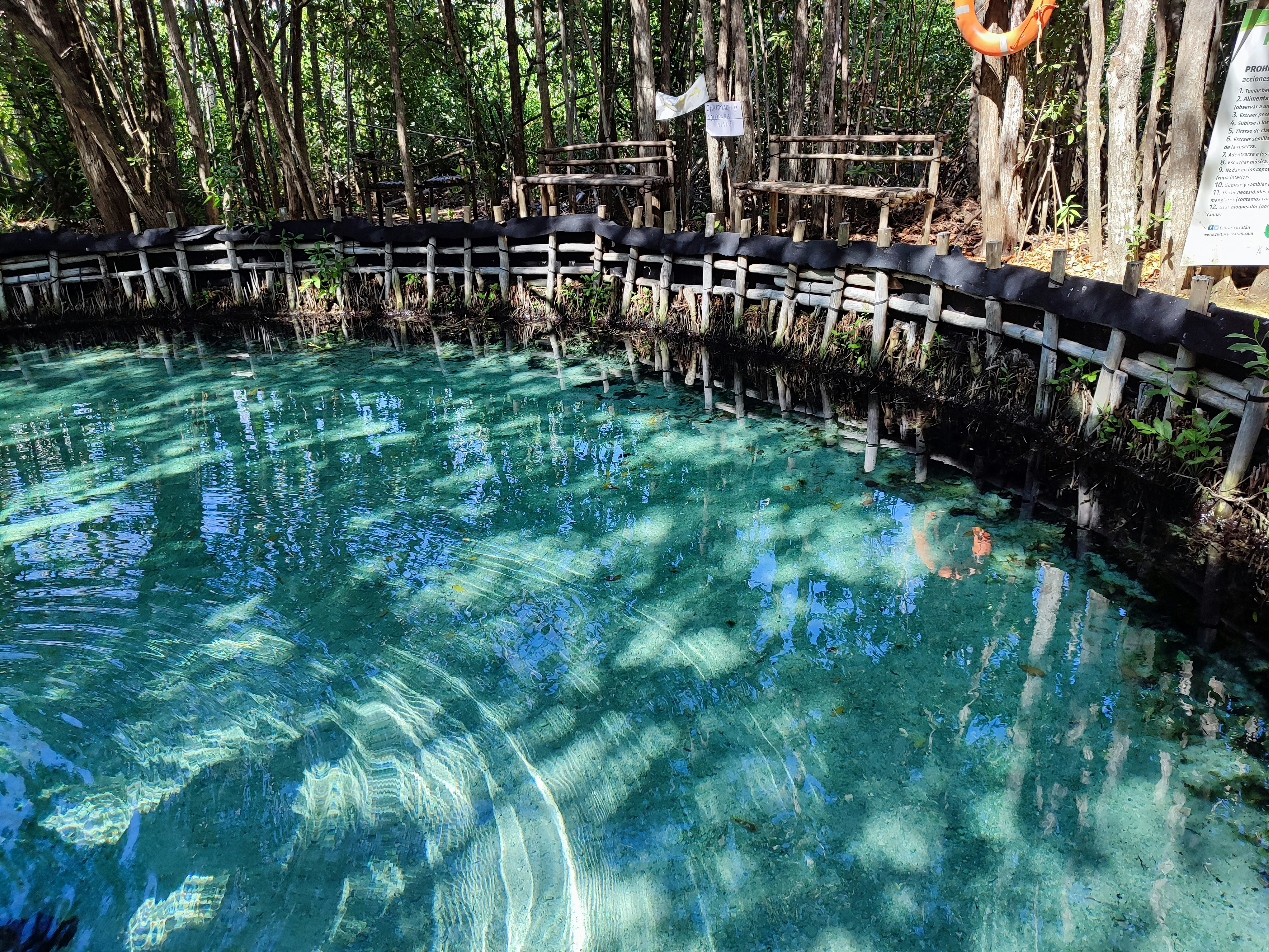 8 Florida Springs With the Best Water Clarity