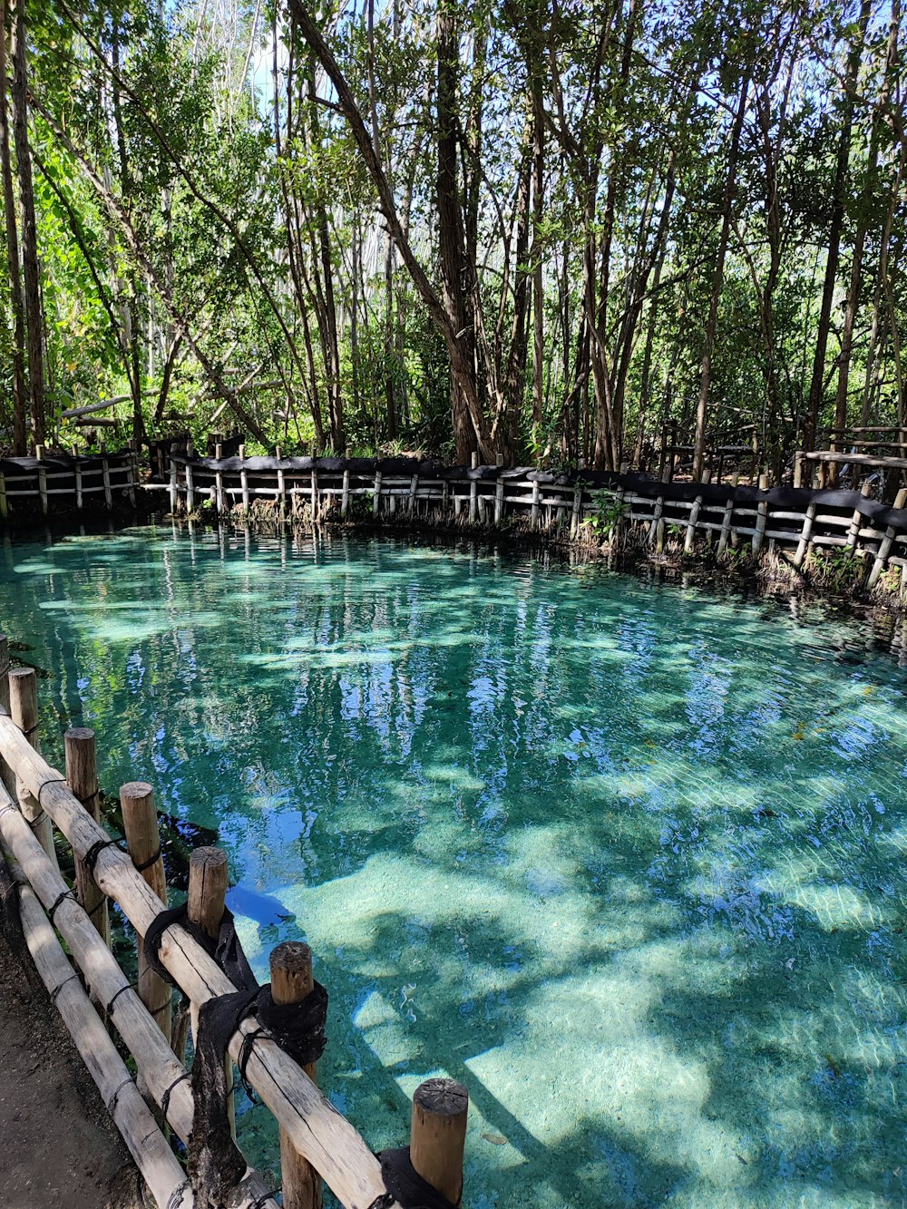 uno specchio d'acqua con alberi intorno