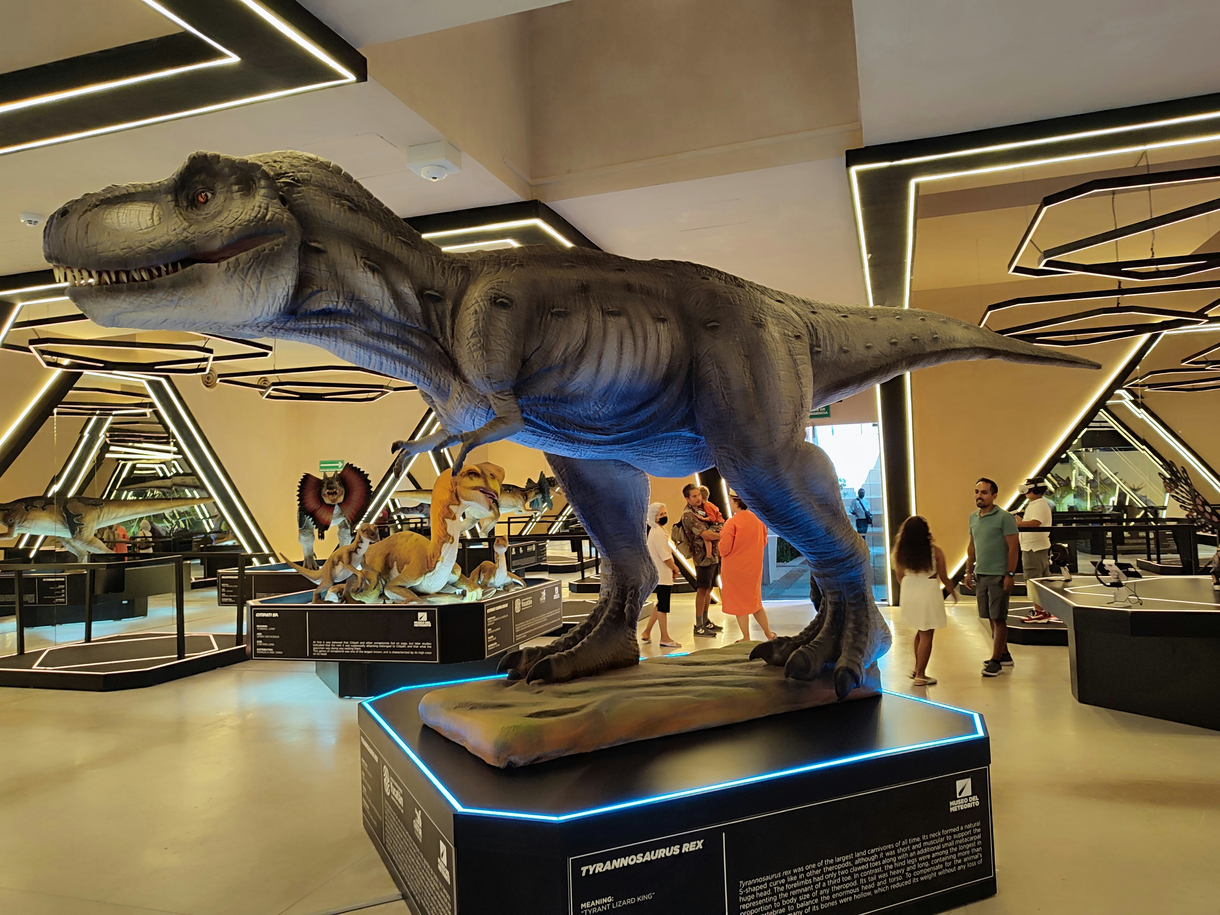 Revolutionizing Museum Displays (image credits: unsplash)