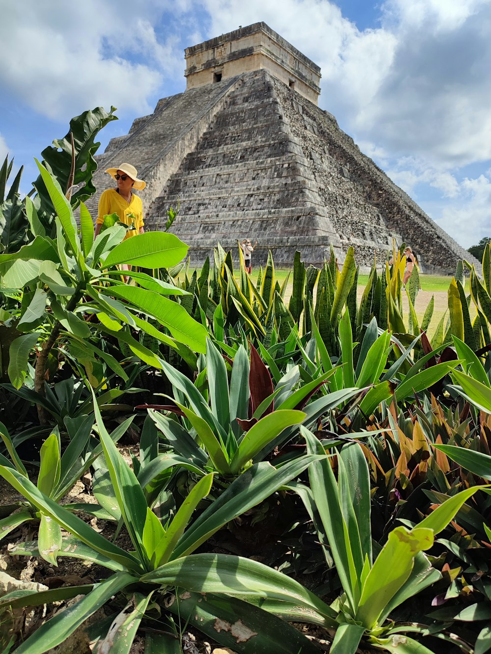 a person standing in a field of plants with a stone building in the background