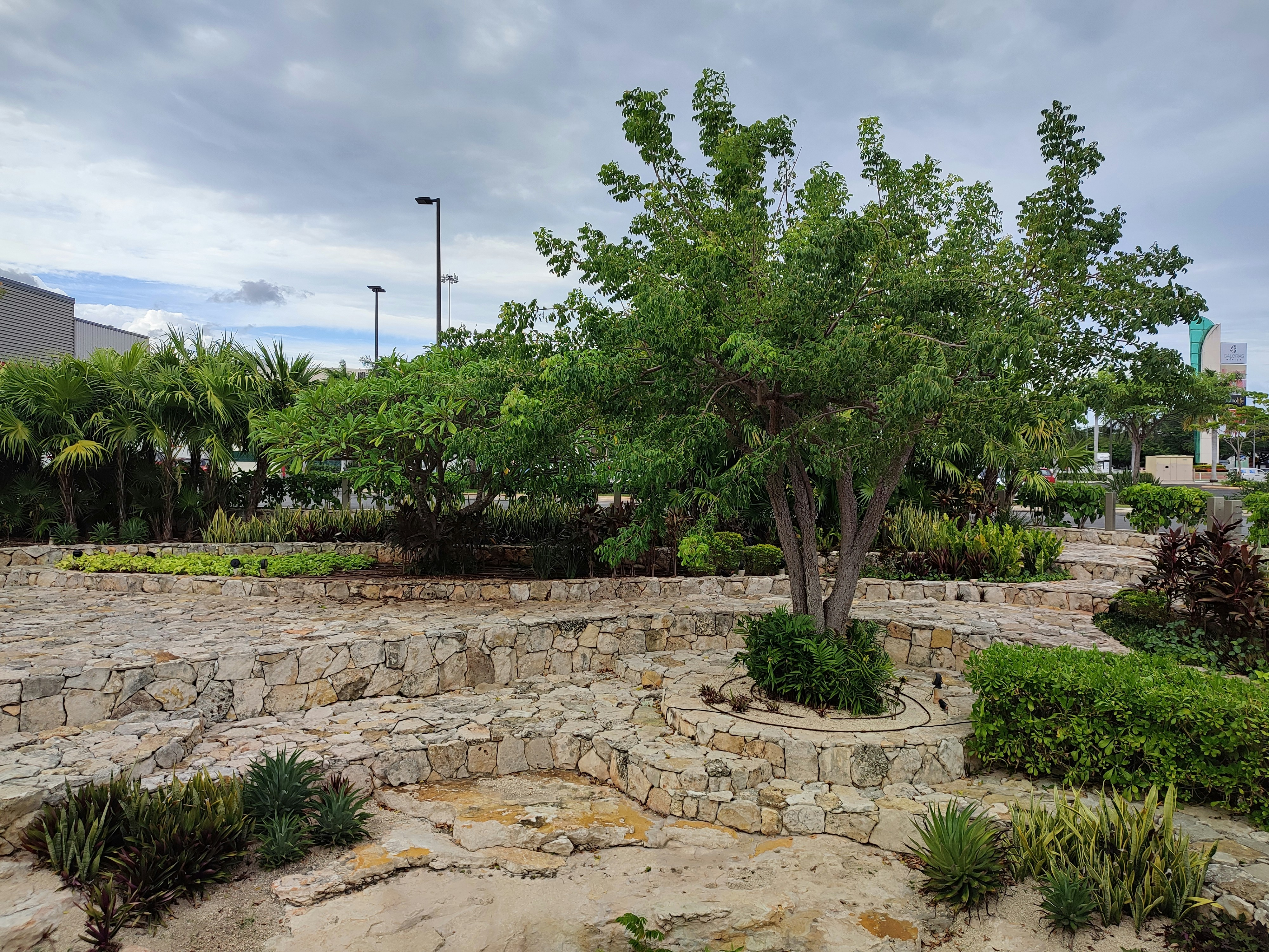 Jardim dos Chorões