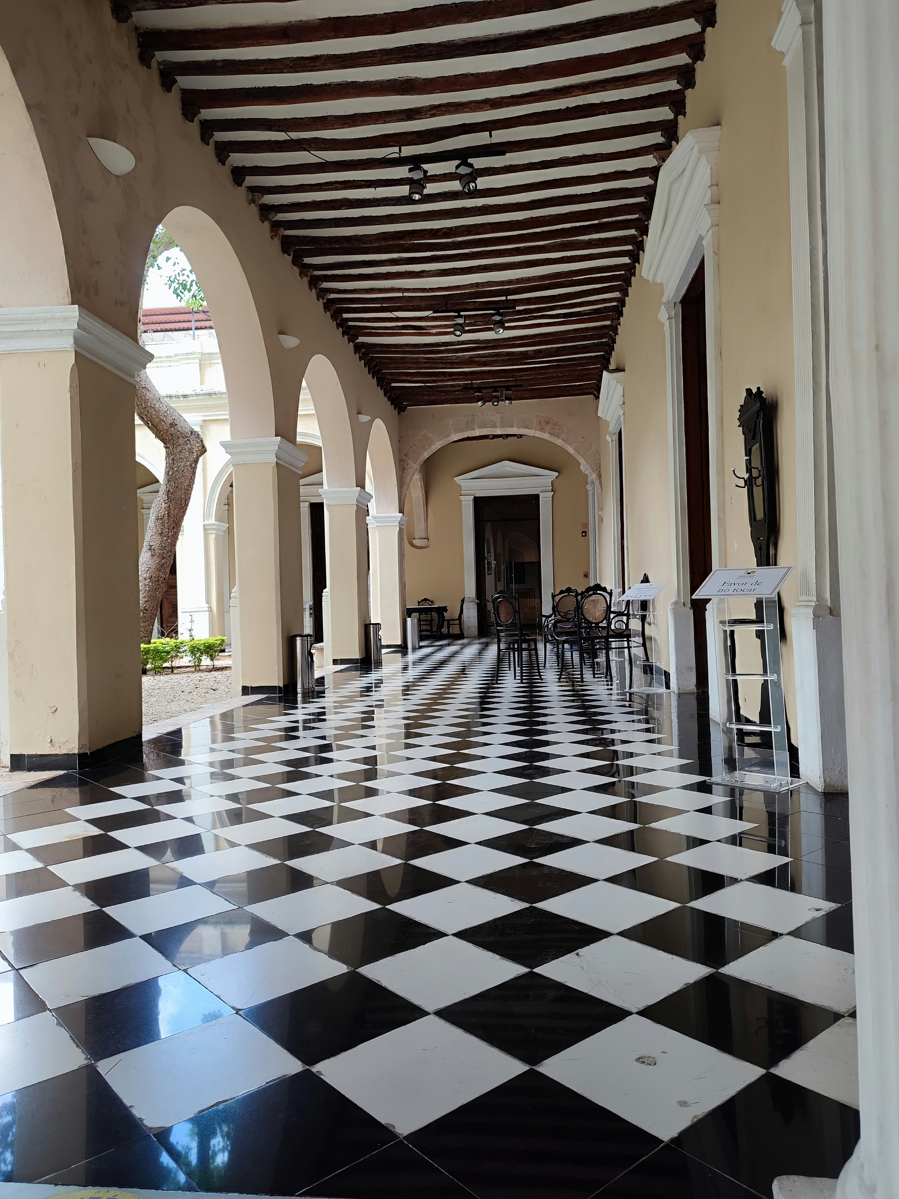 Photo by tulip_sunflower