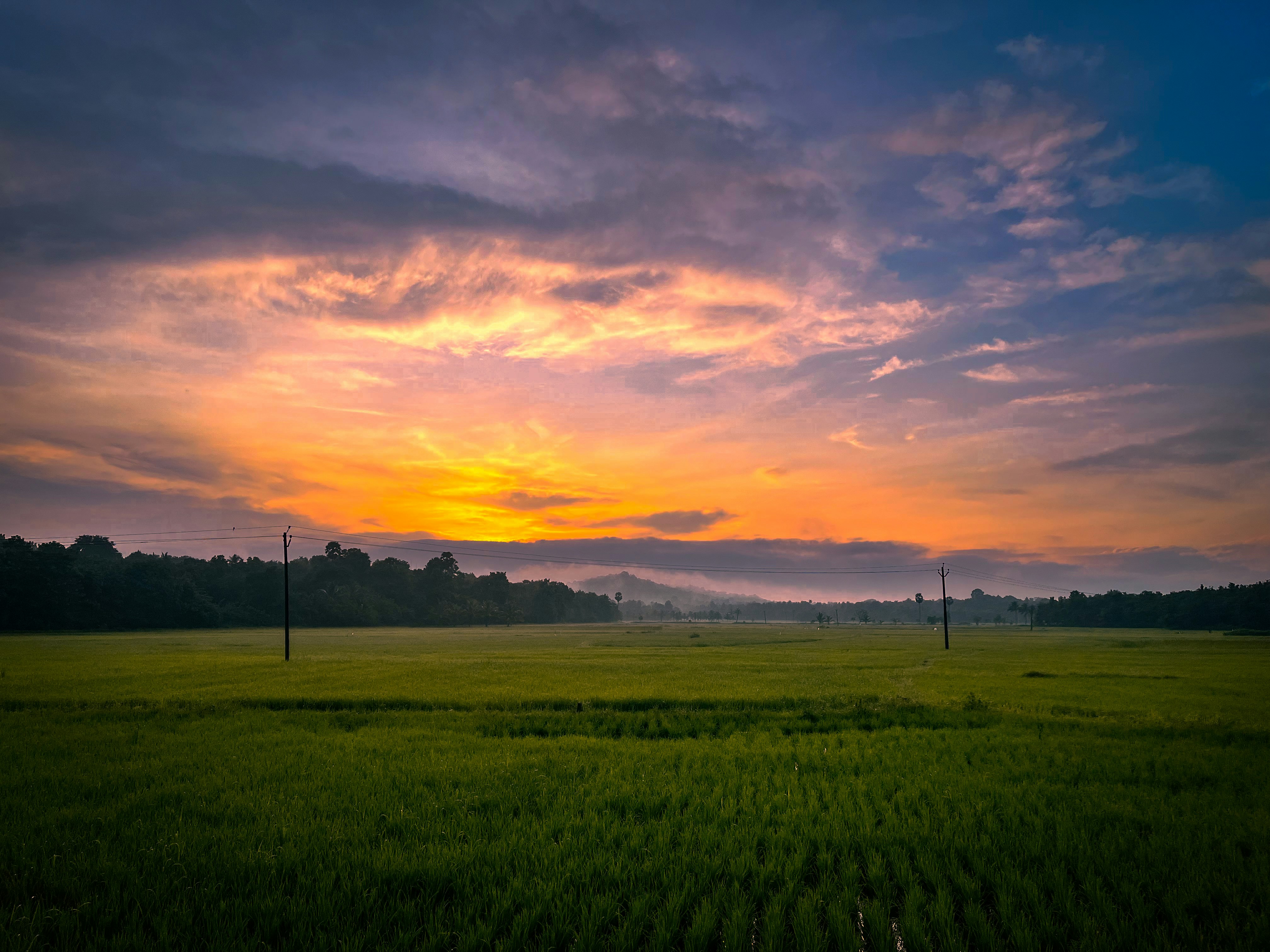 Photo by calypso_cam_