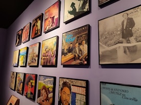 A wall features a collection of framed vinyl record covers, arranged in a neat grid. The covers showcase a variety of designs and colors, each featuring different musical artists and album titles. The overall setting appears to be in a gallery or a music-themed room.