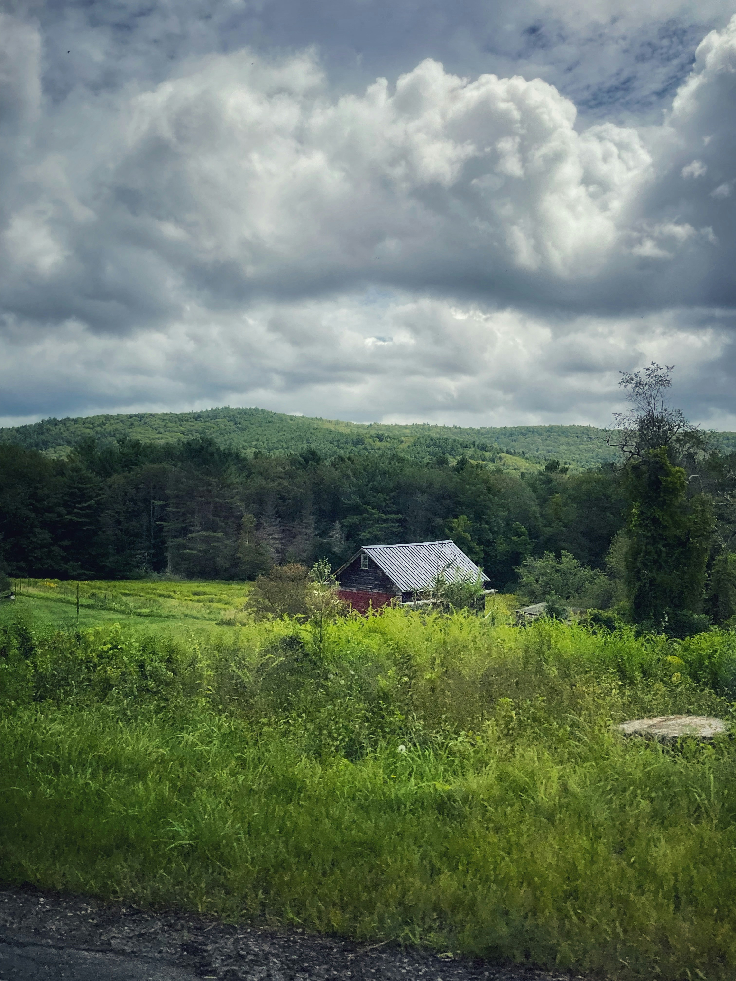 Photo by hocuspocusphotography