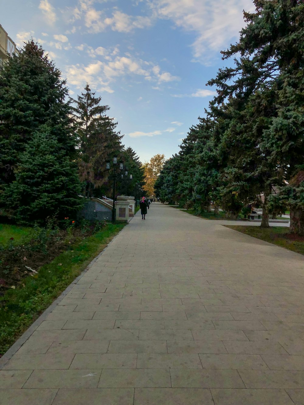 a person walking on a path surrounded by trees and grass