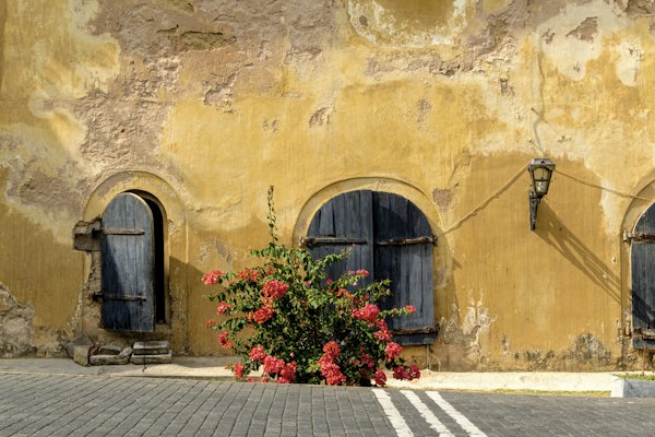 A building with flowers in front of it — Galle, Sri Lanka