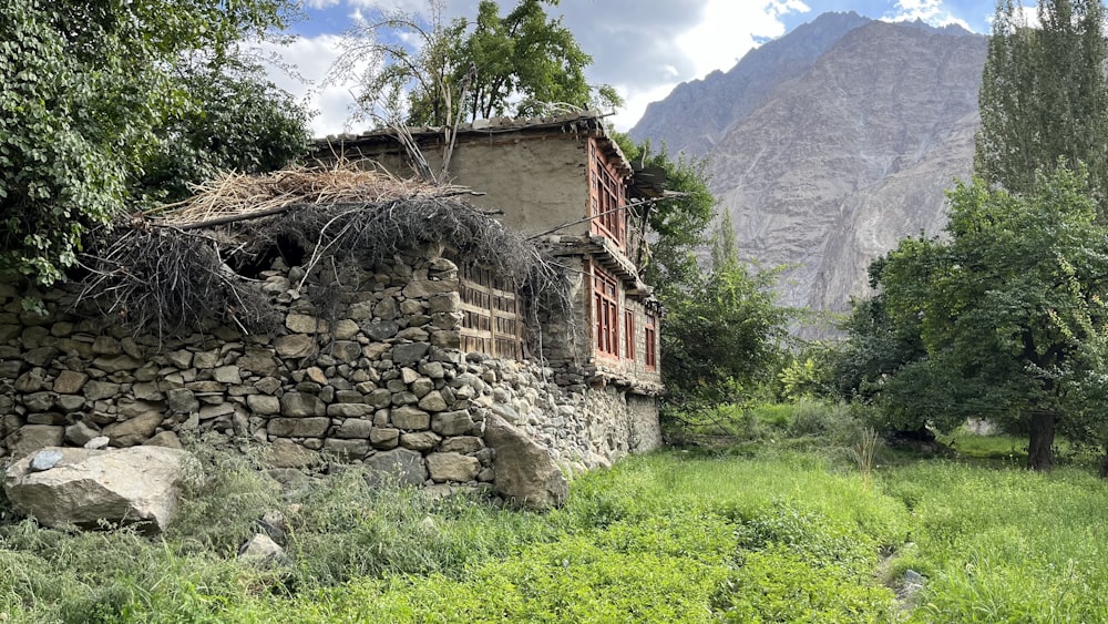 a house with a grass roof