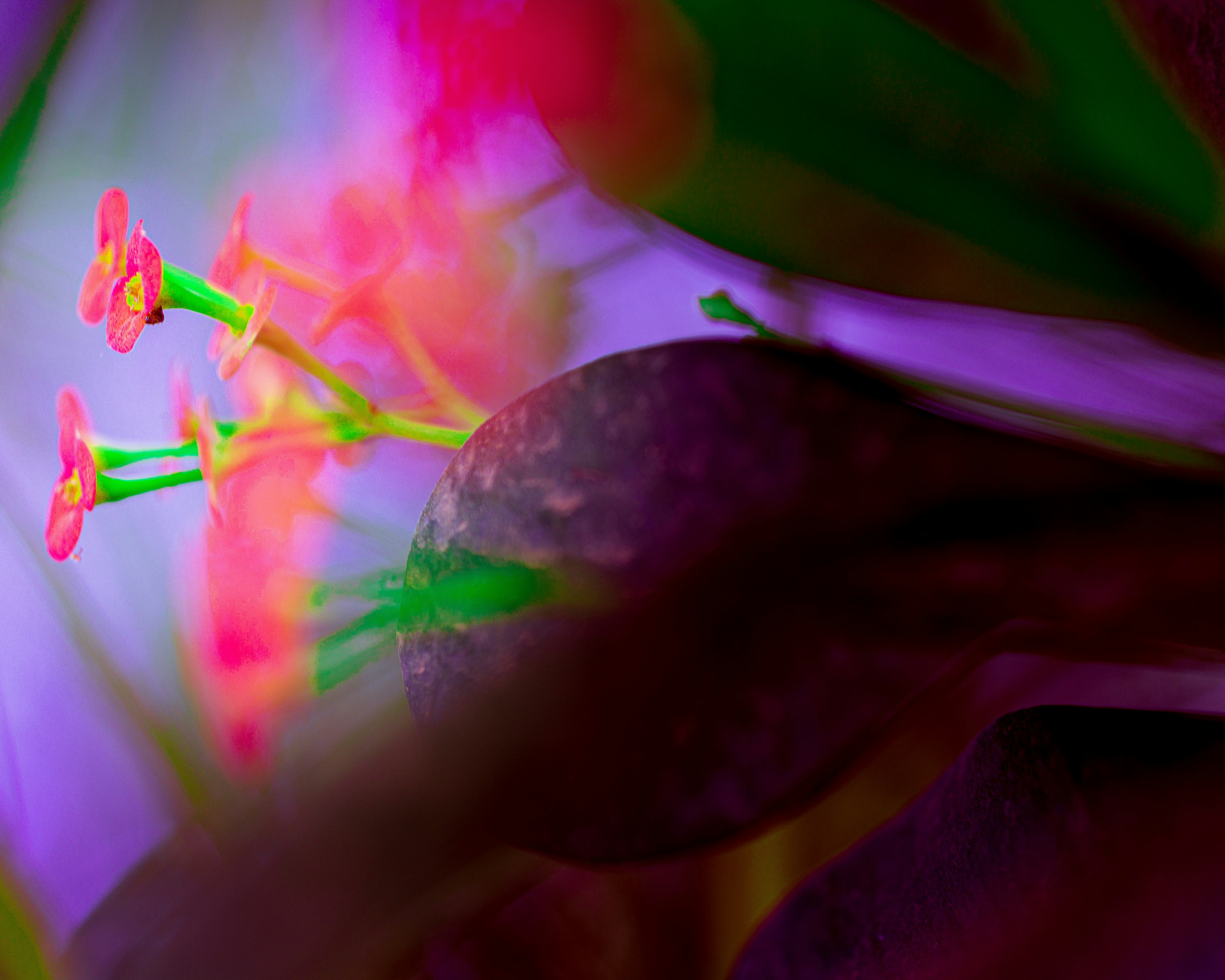 Photo by oluwasegunsam