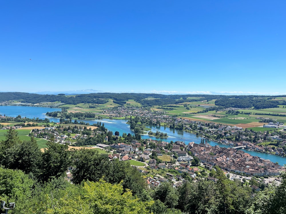 a river with trees and a city