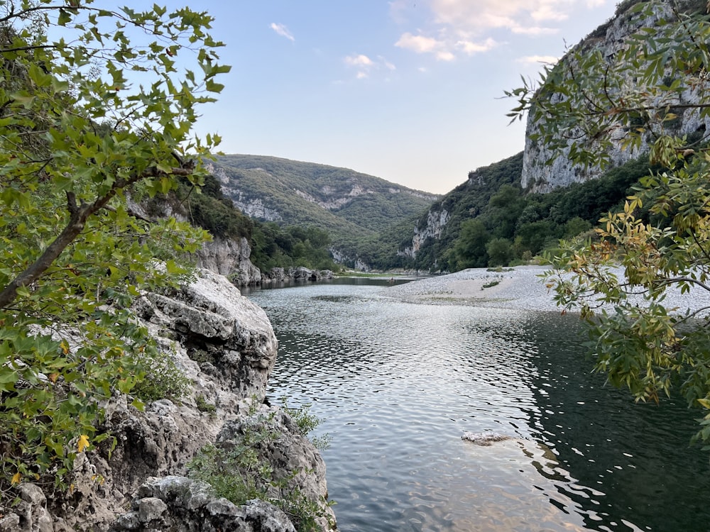 a river with rocks and trees