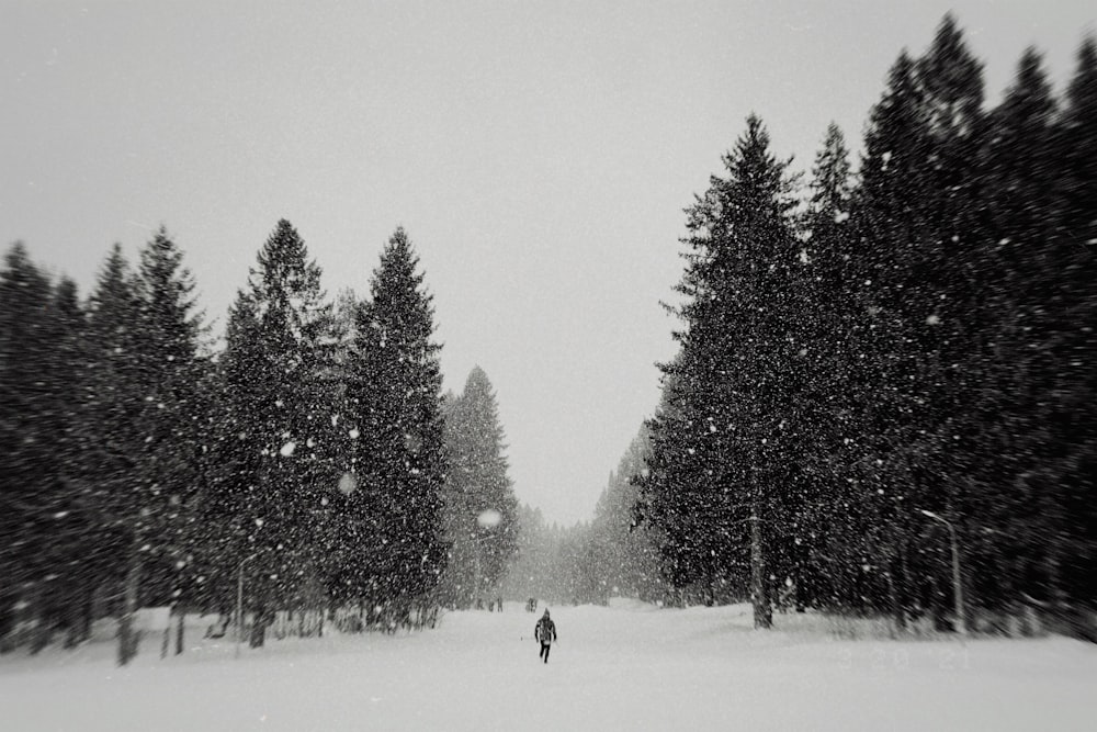 a person walking in the snow