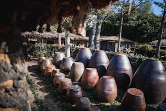 An outdoor scene featuring clay pots arranged in a garden.