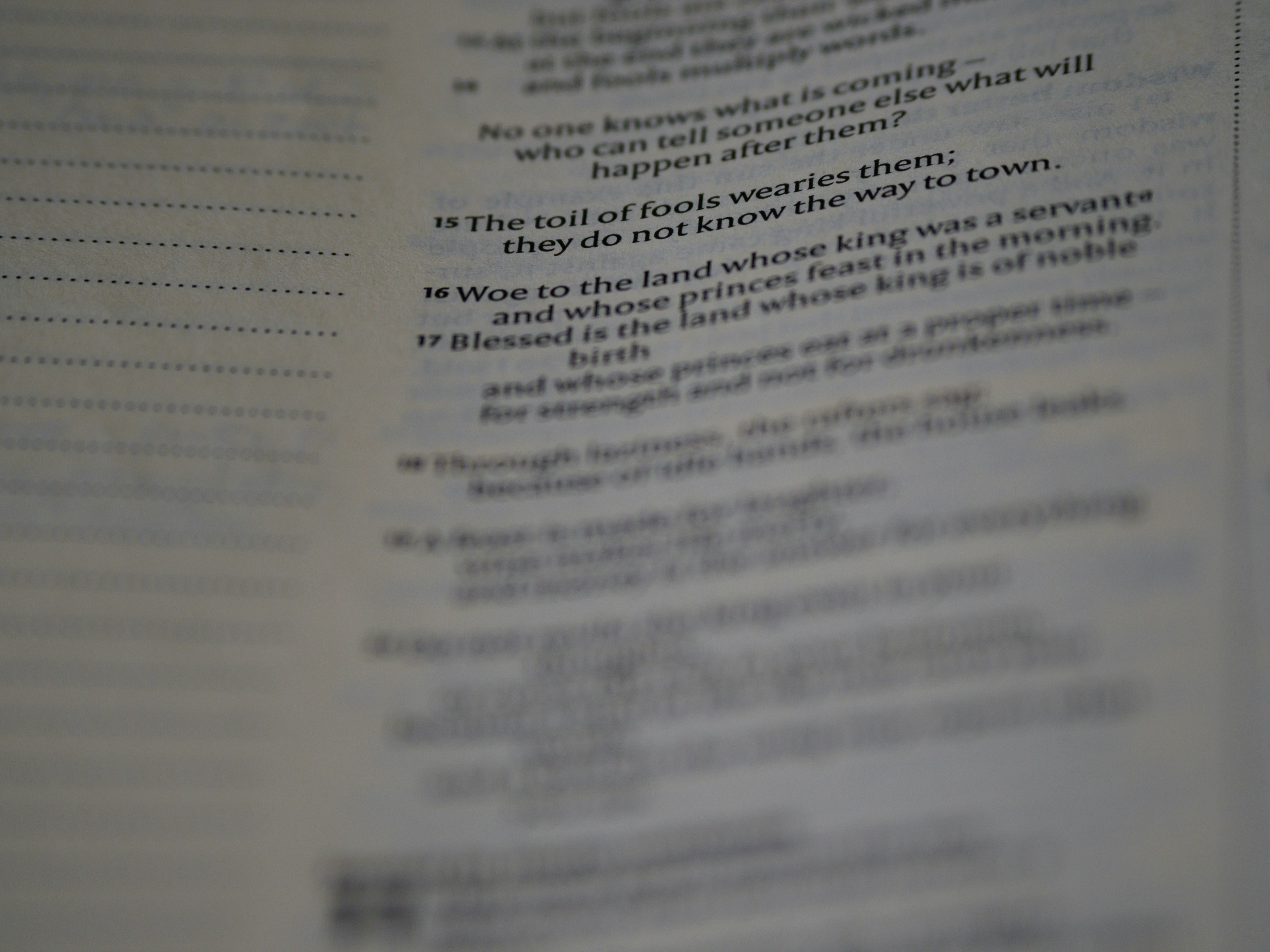 Photo by brett_jordan