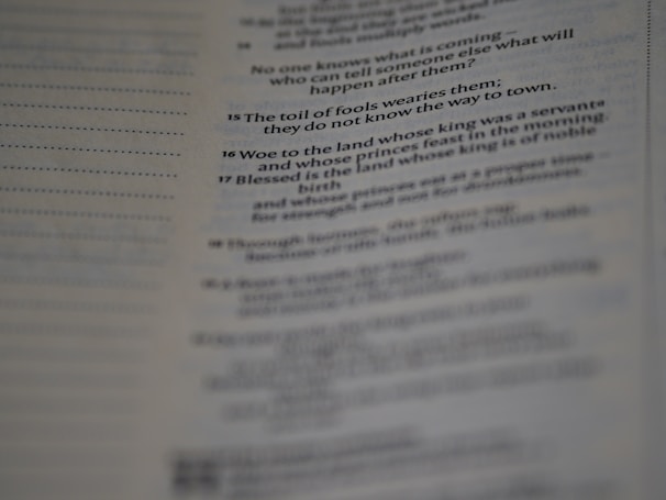 Example of a long text passage with multiple colors applied on metinboya.com