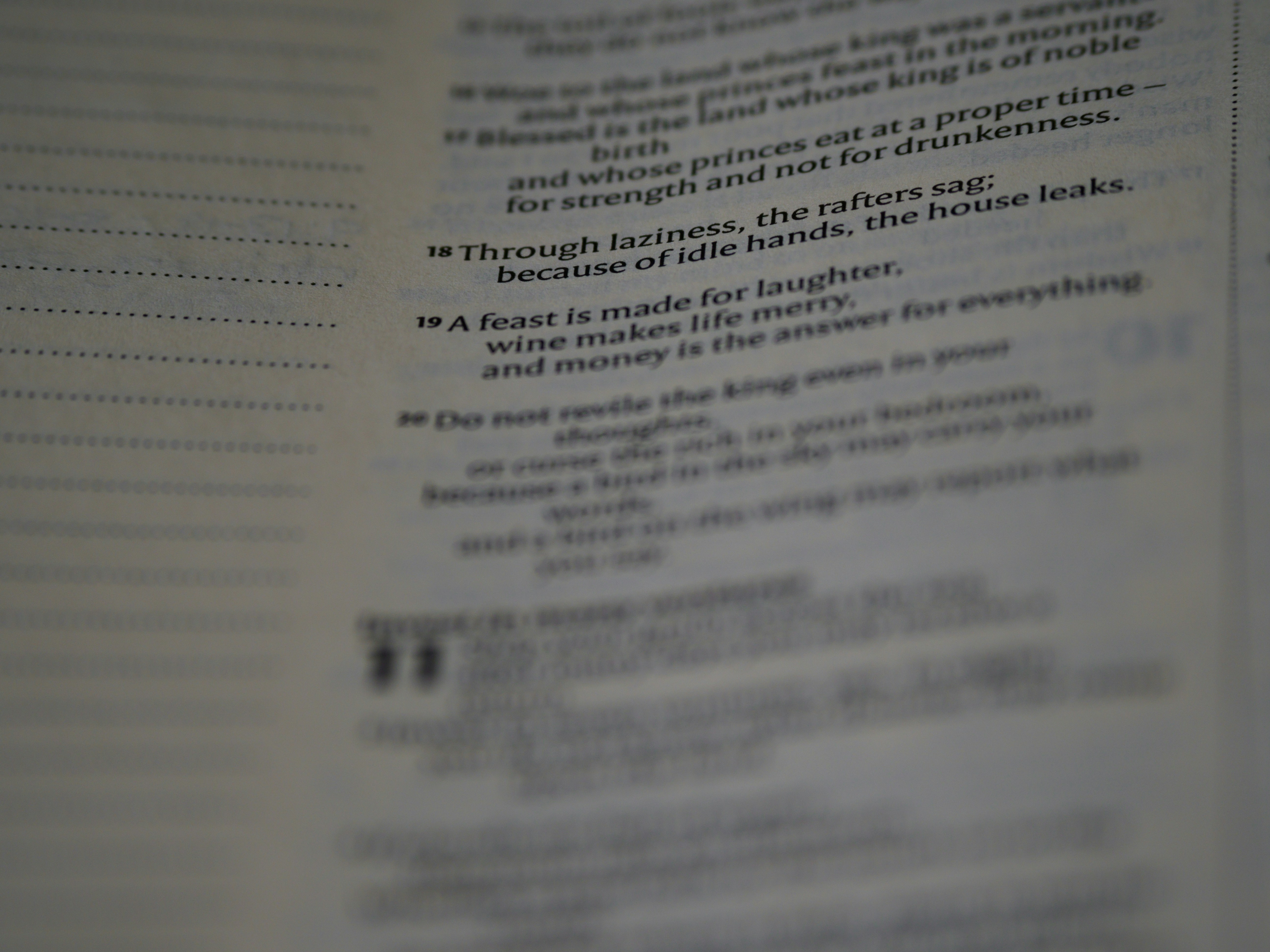 Photo by brett_jordan