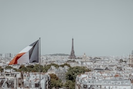 A panoramic view of a cityscape with the Eiffel Tower prominently in the background. In the foreground, a French flag is visible, flying atop a building. The landscape is densely packed with classic architecture and rooftops, with hints of greenery scattered throughout.