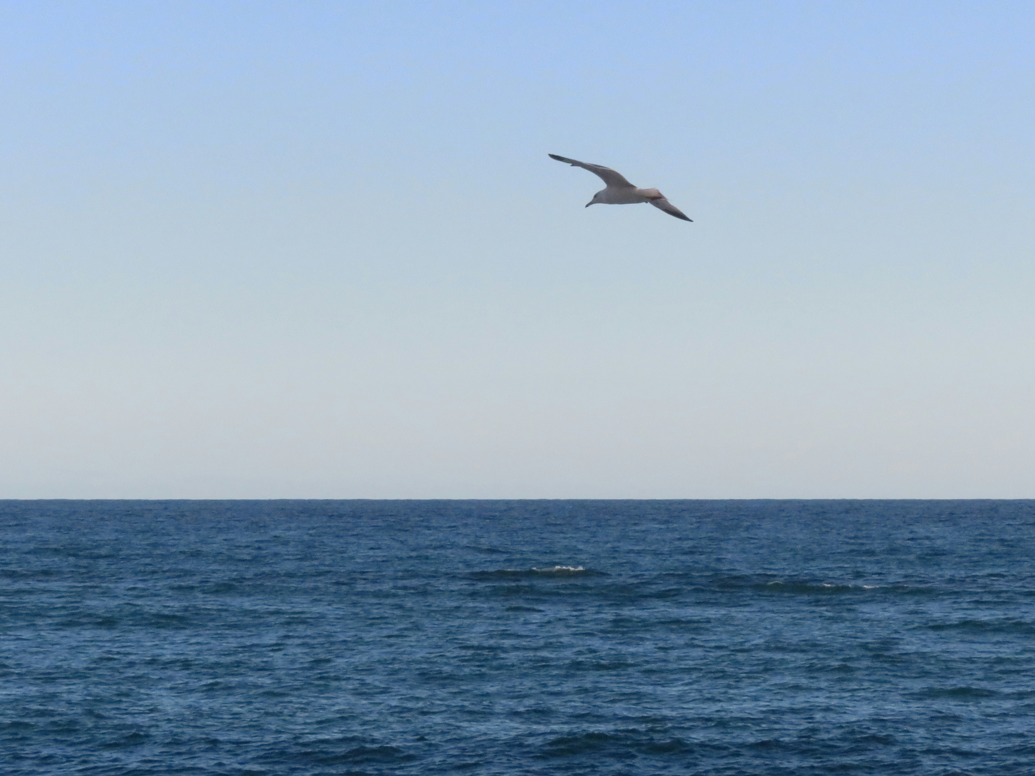 Photo by utentemedio