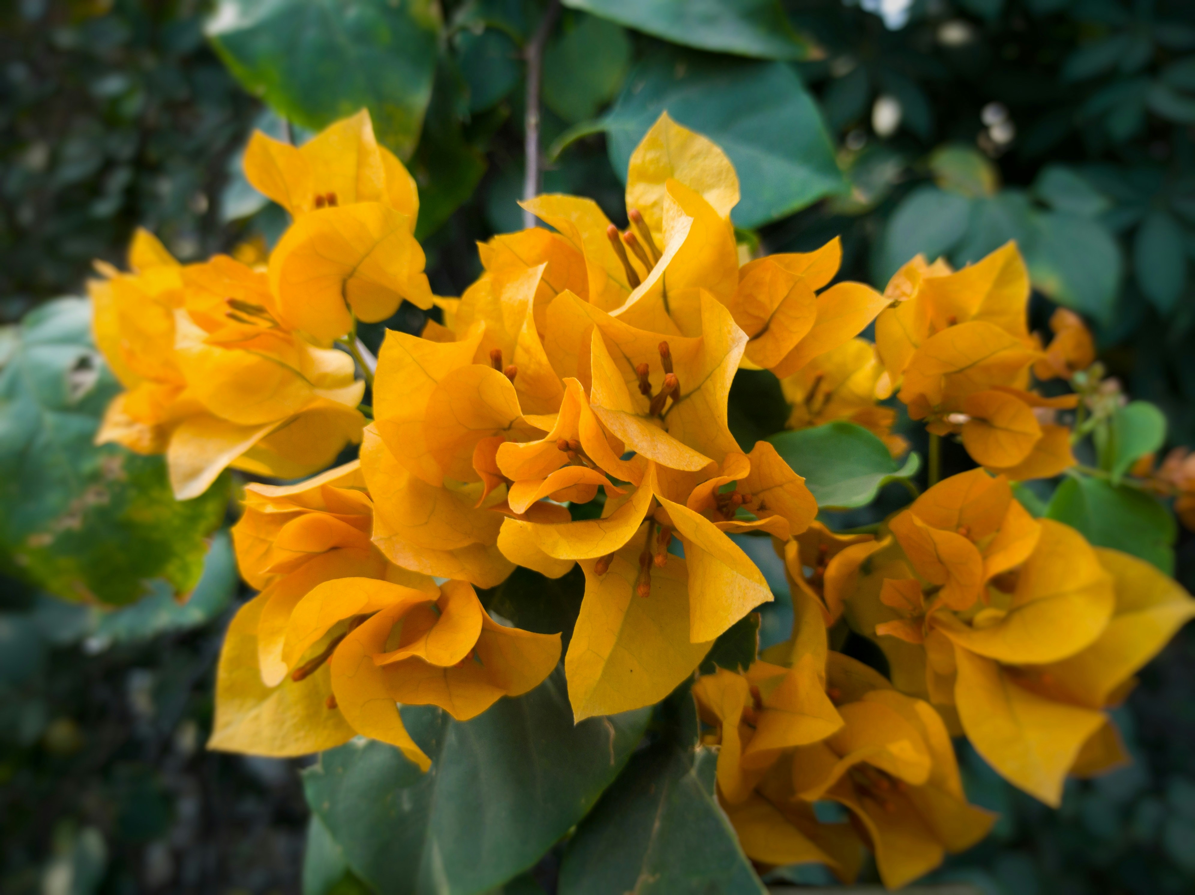 Photo by sanketjawali