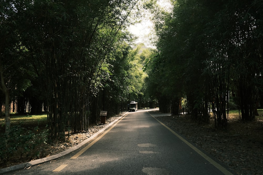 a road with trees on the side