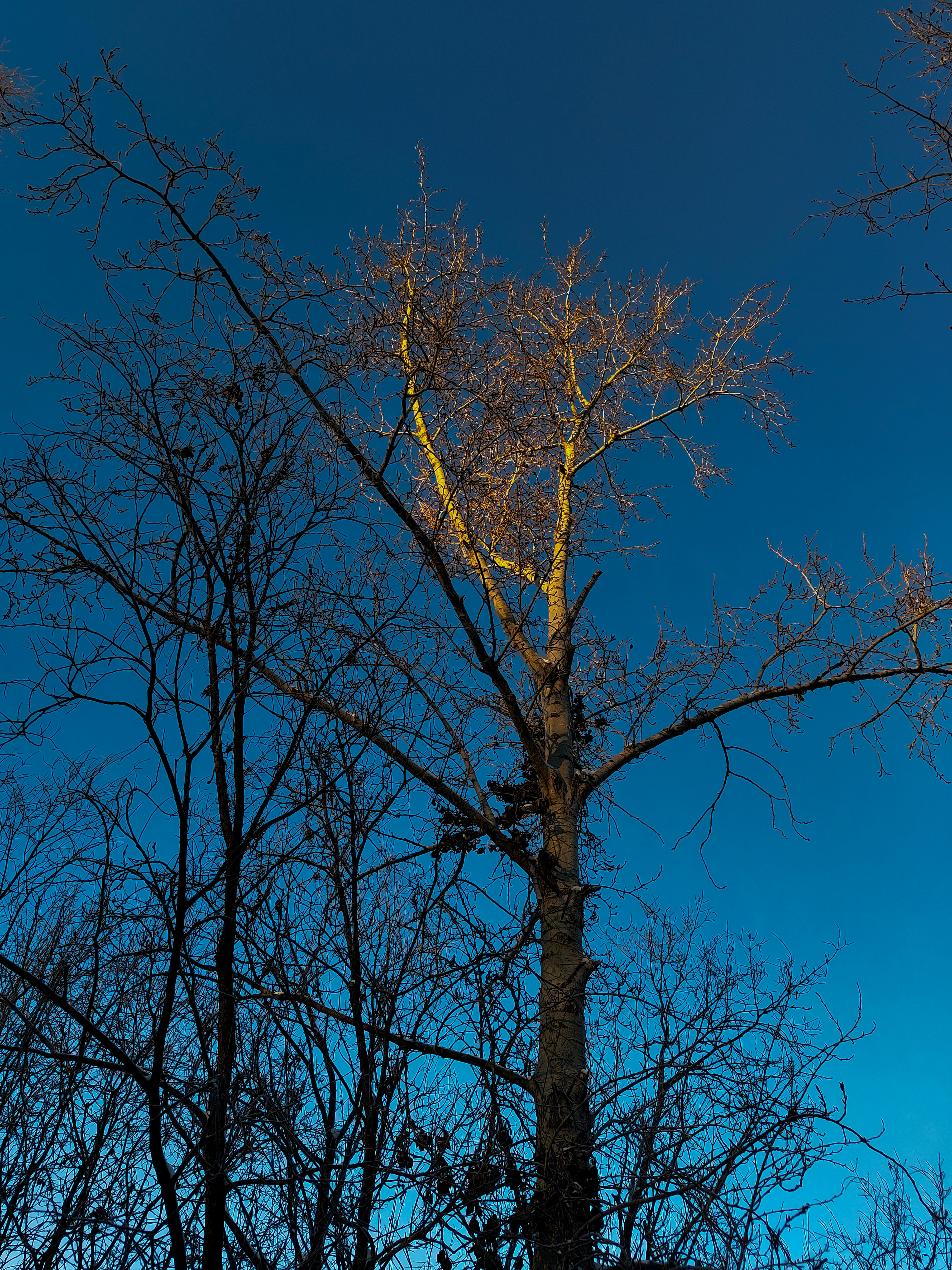 Photo by dragoncy635