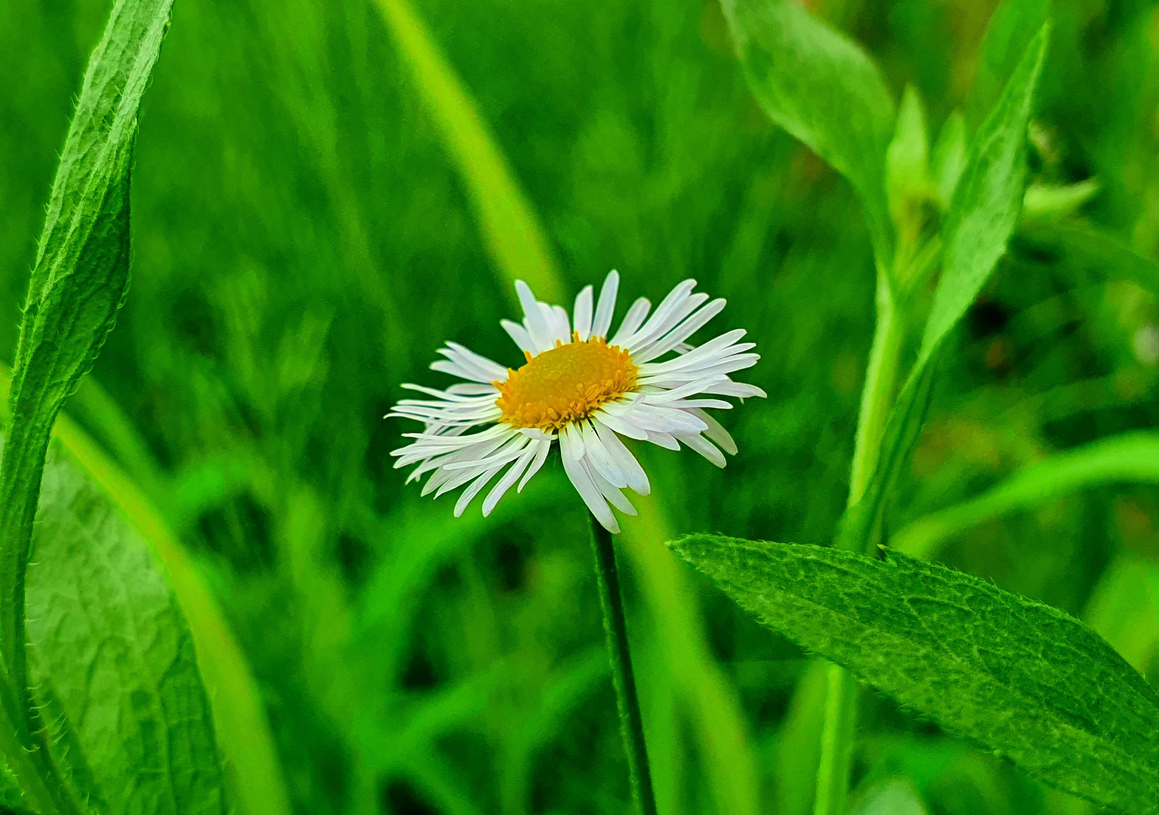 Photo by naturalphotos08