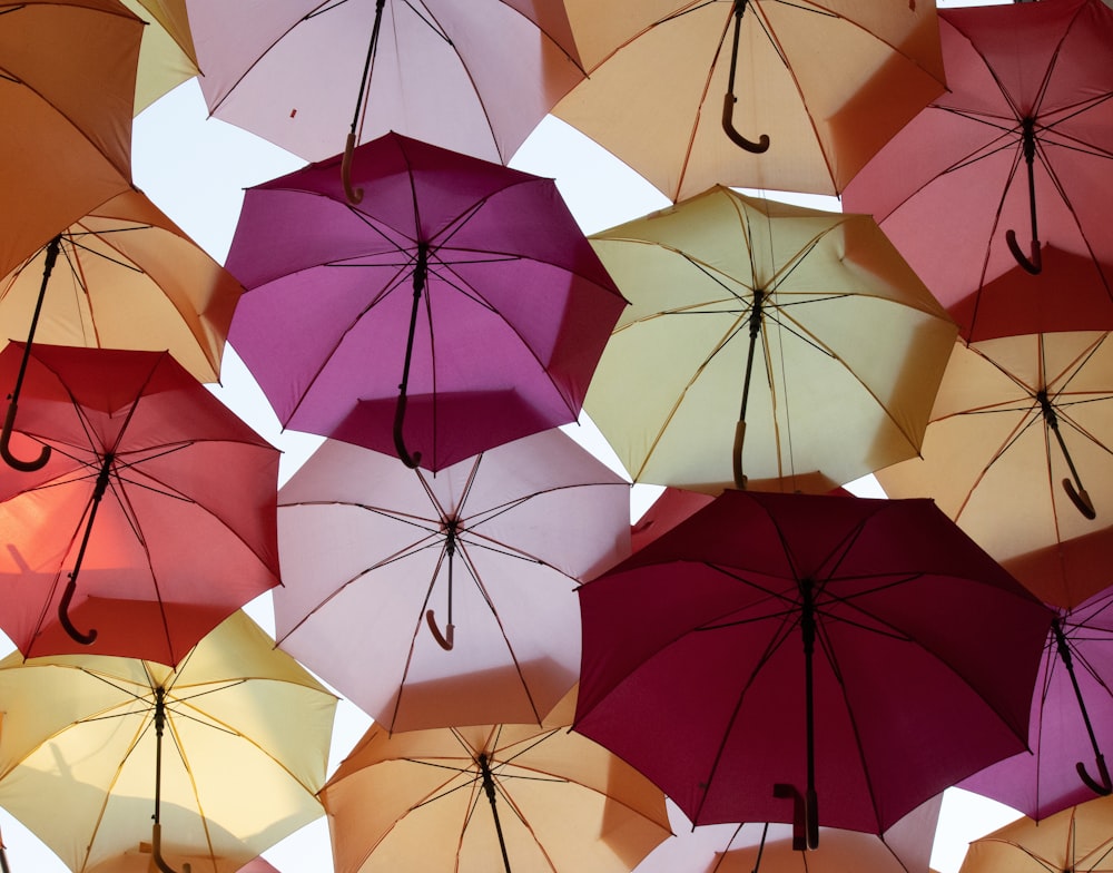 a group of umbrellas are from the ceiling