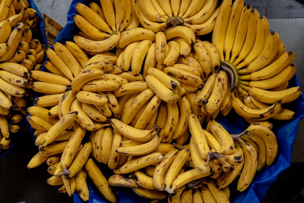A bunch of bananas