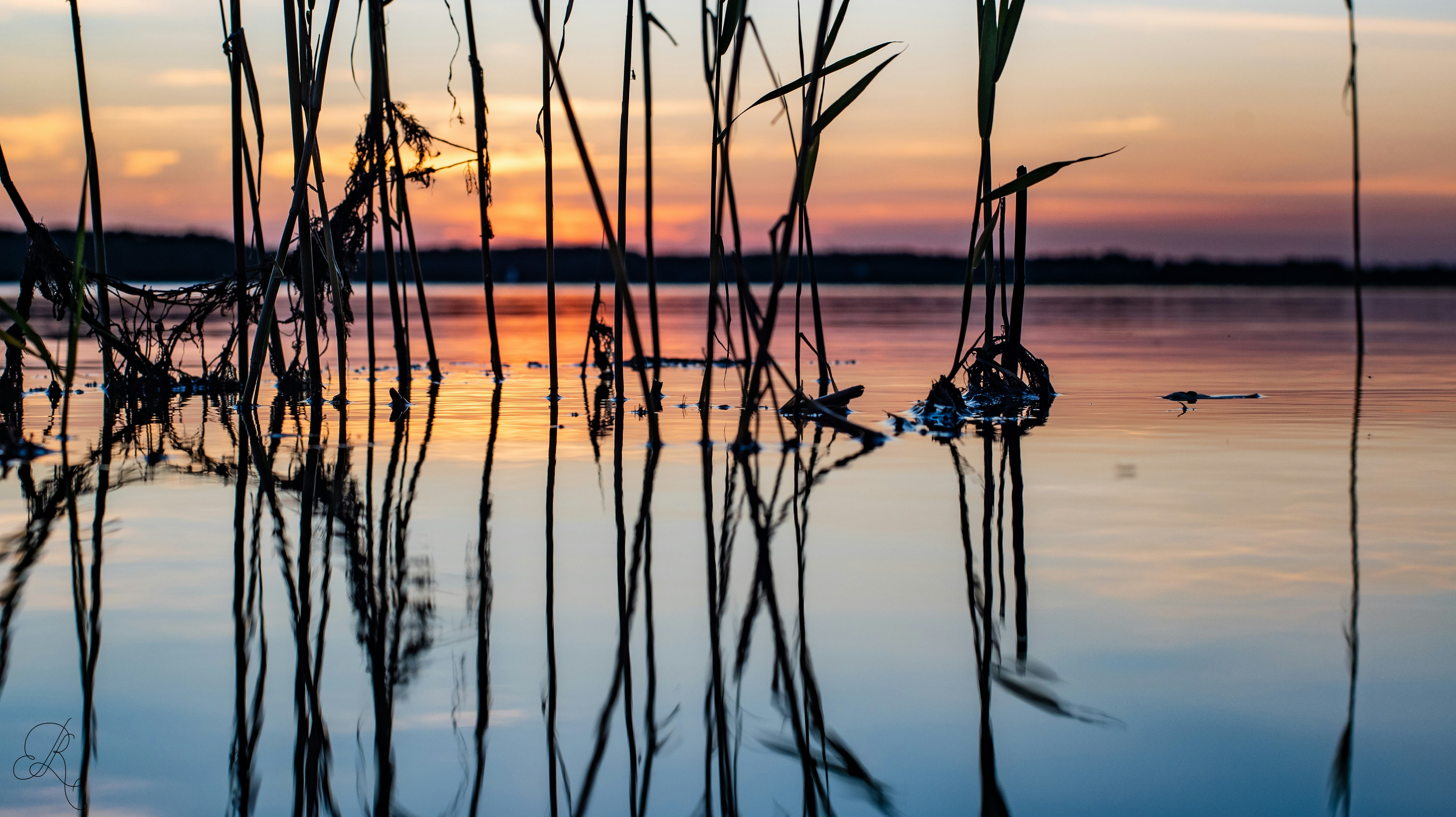Photo by nataliaraylenegusakova