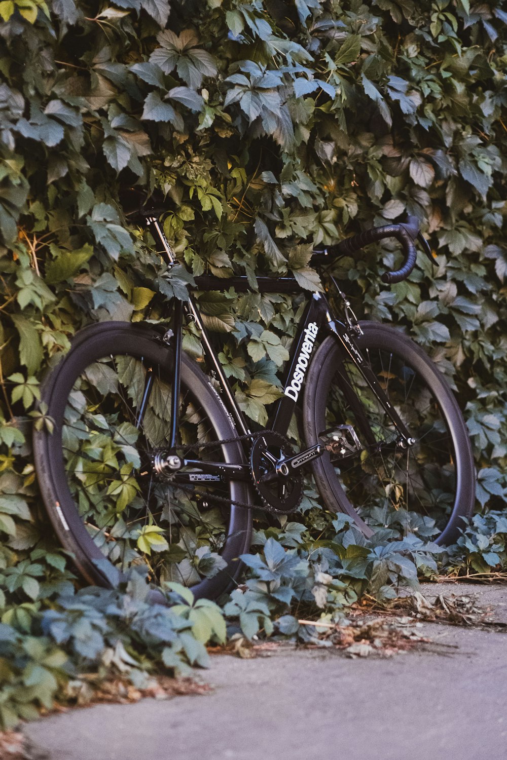 a black bicycle parked in front of a bush