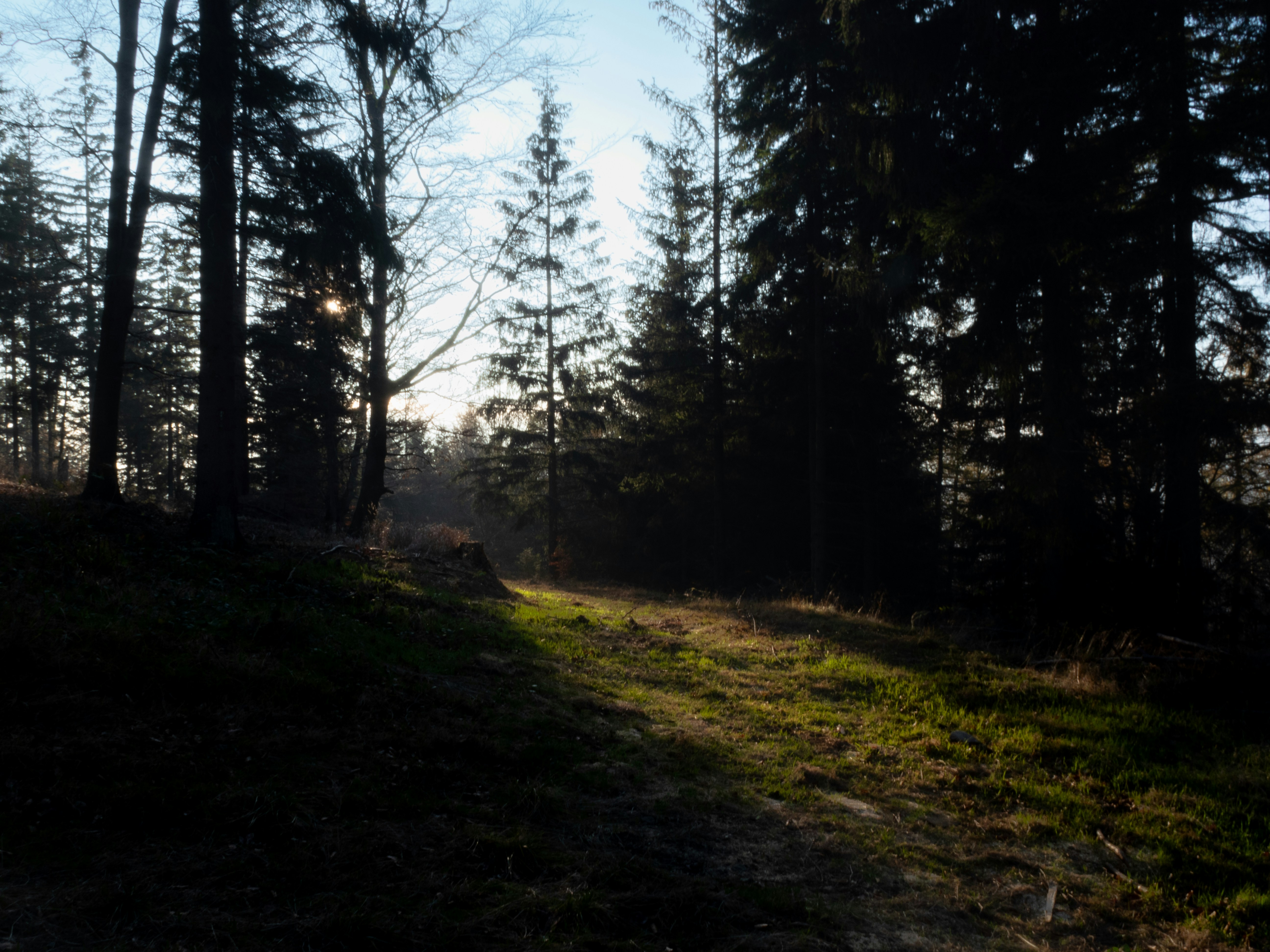 Photo by jacks94