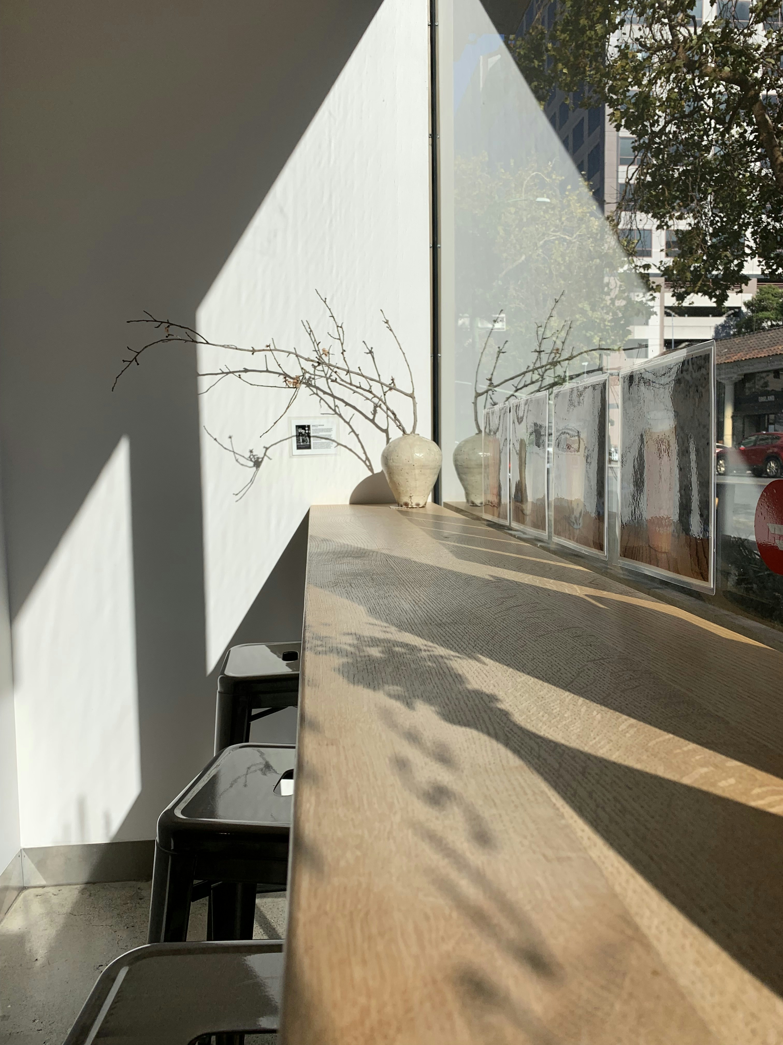 a tree in a pot on a wall