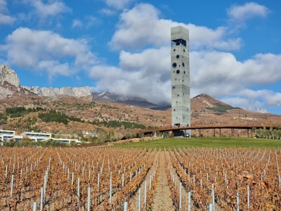 A tall, modern tower with circular windows stands prominently in a landscape with a vineyard in the foreground. The vineyard vines have autumnal foliage, creating a warm color palette. The background features rolling hills and rugged mountains under a partly cloudy sky.