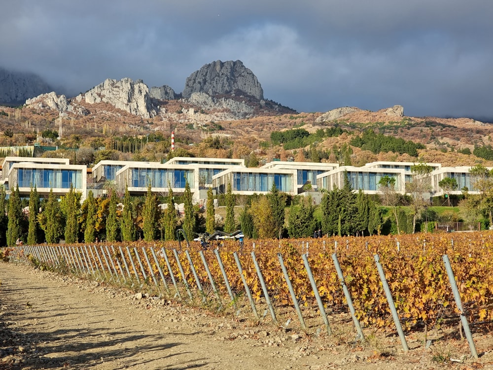 a building with a mountain in the background