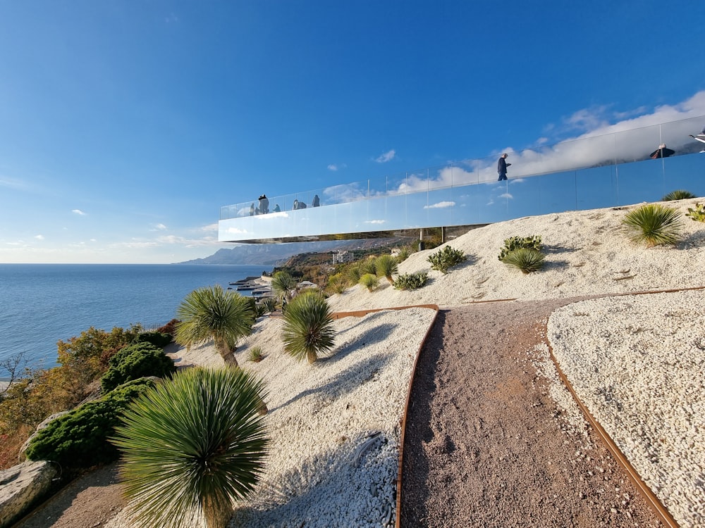 a person walking on a path by the water