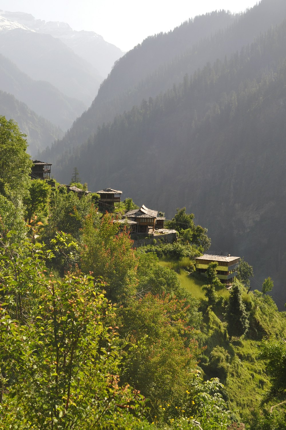 a group of buildings in a forest