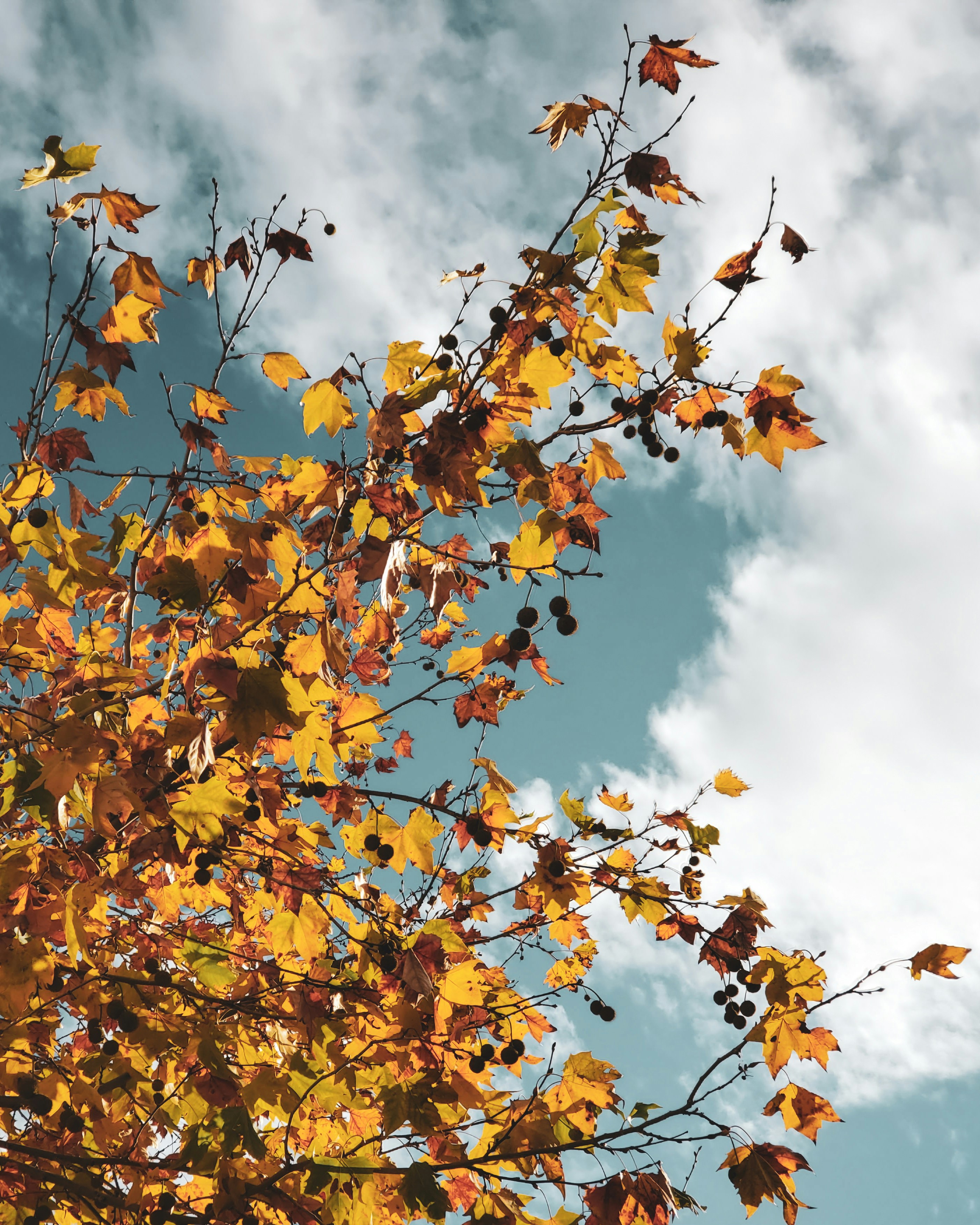 Photo by samermenghour18