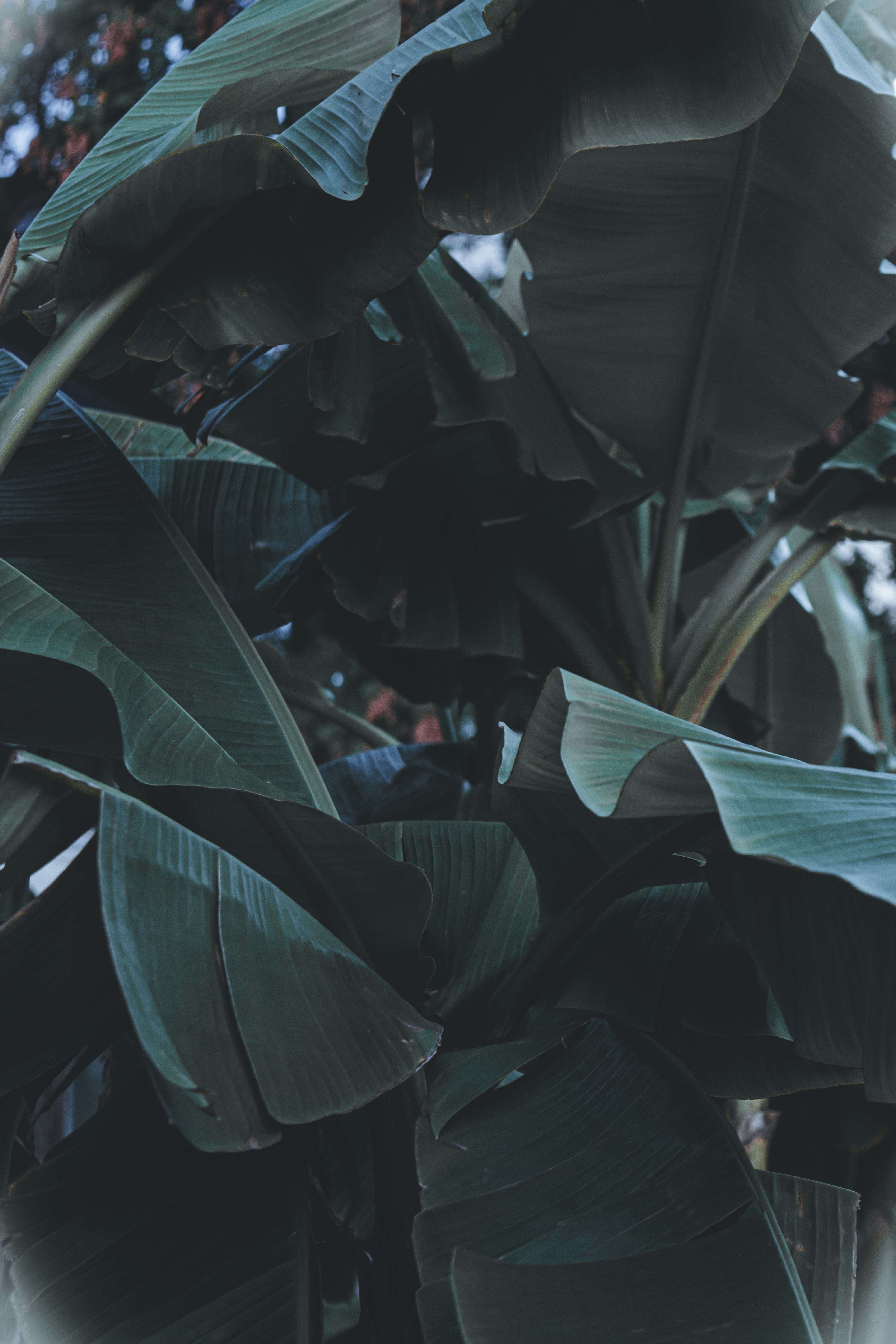 Photo by agataciosek