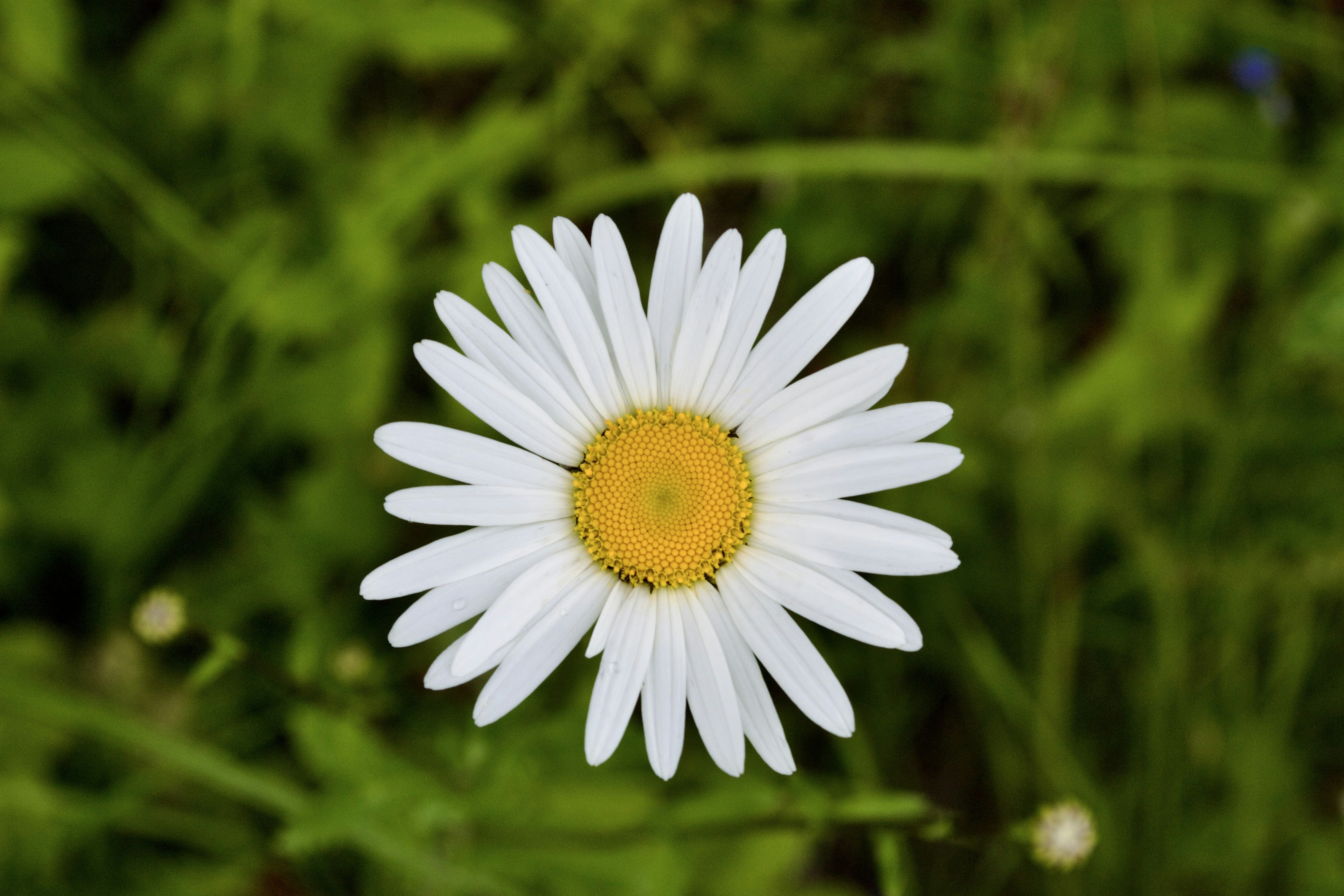 Photo by evgenslavin