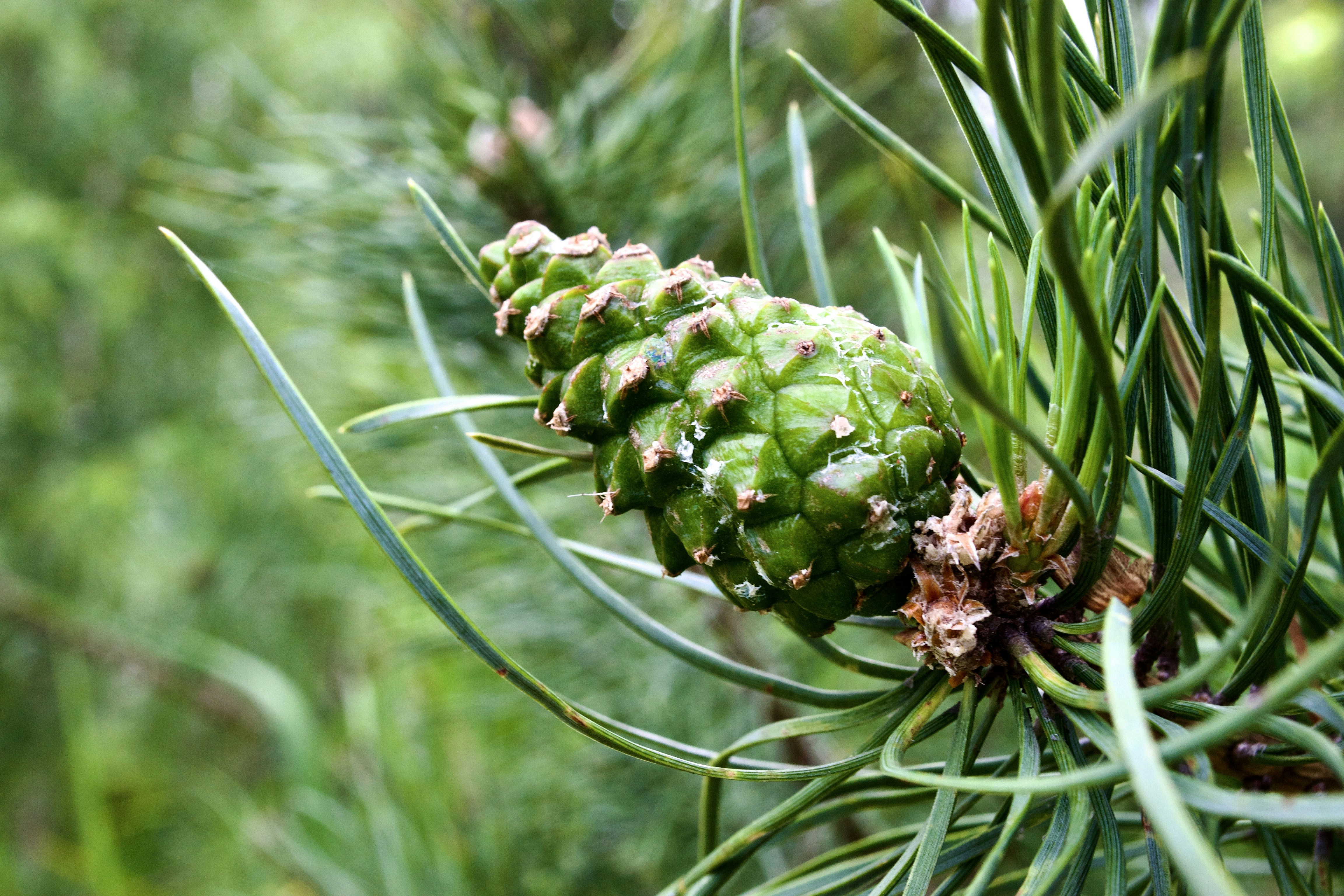 Photo by evgenslavin