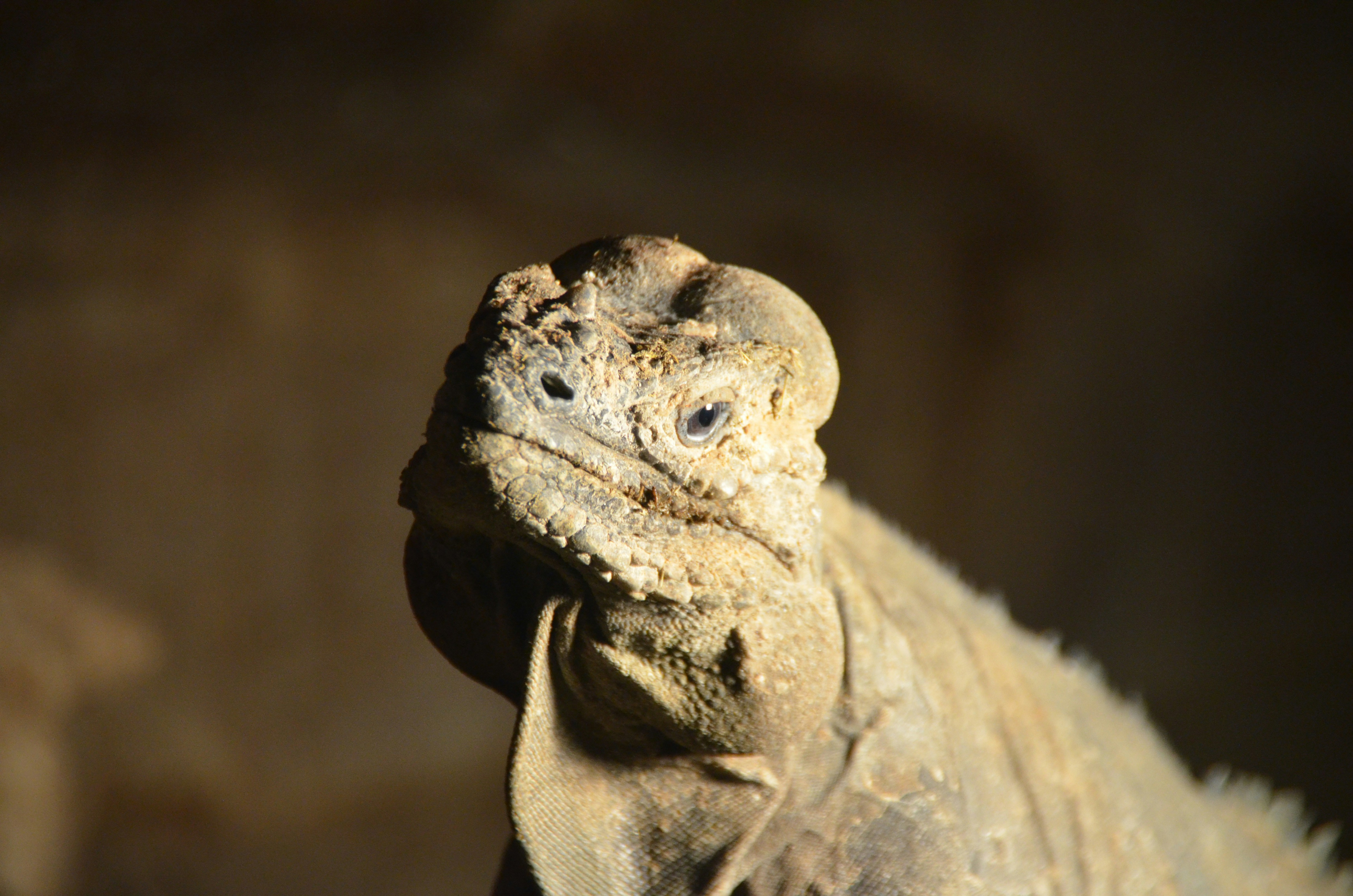 Afbeelding van Tilburg
