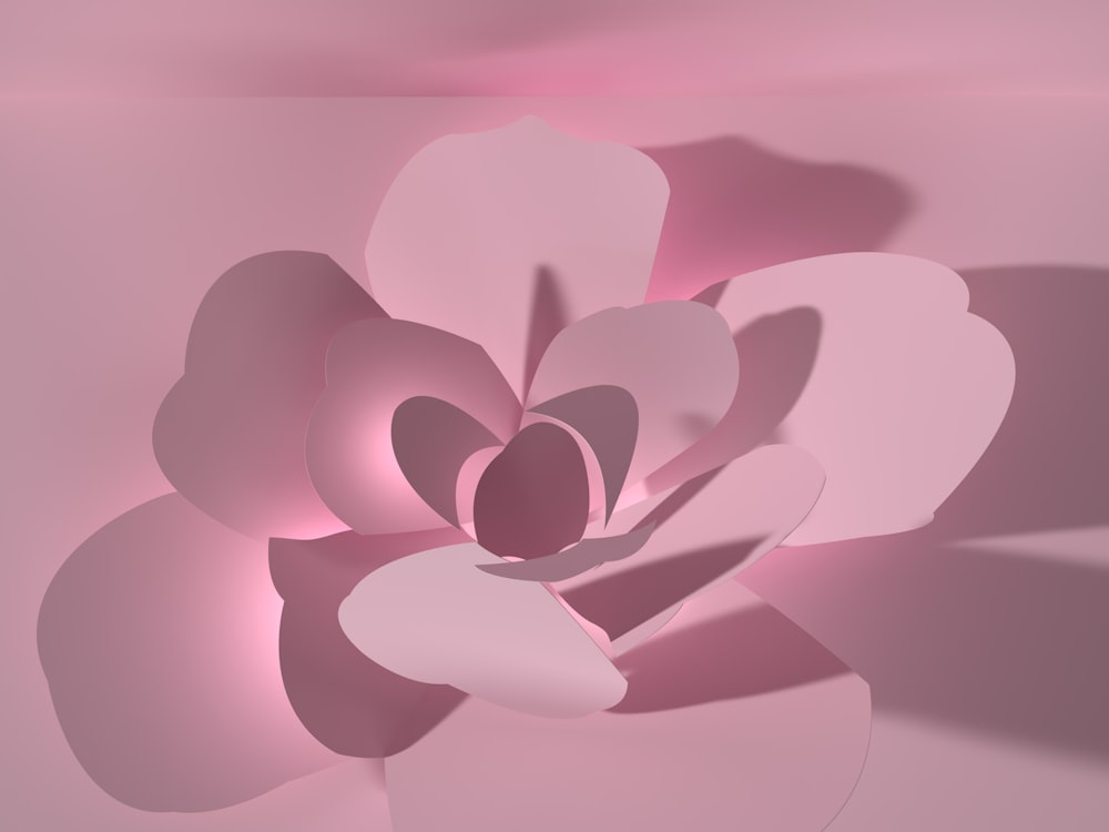 a pink flower with a white center