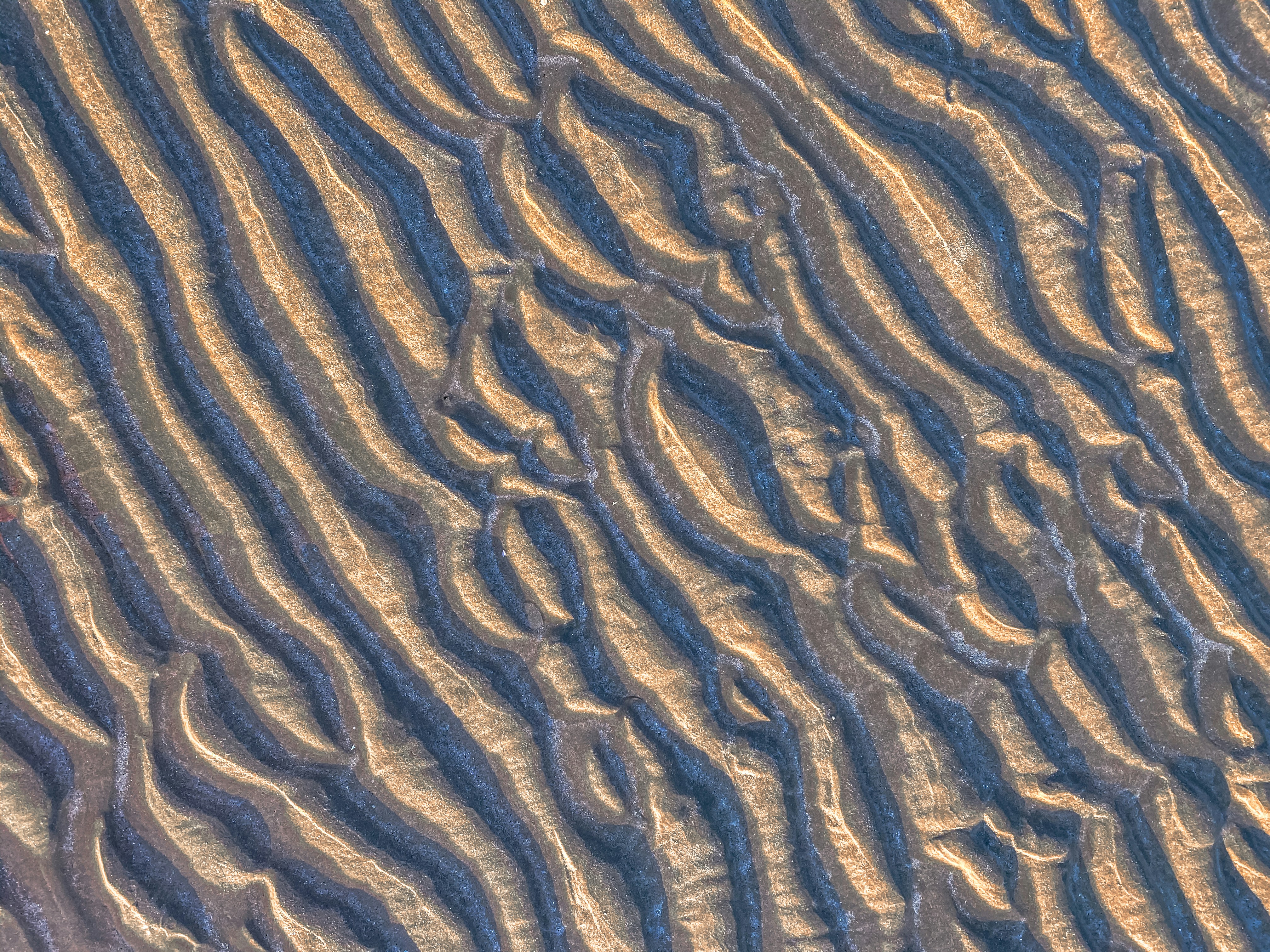 Photo by your_scorpion