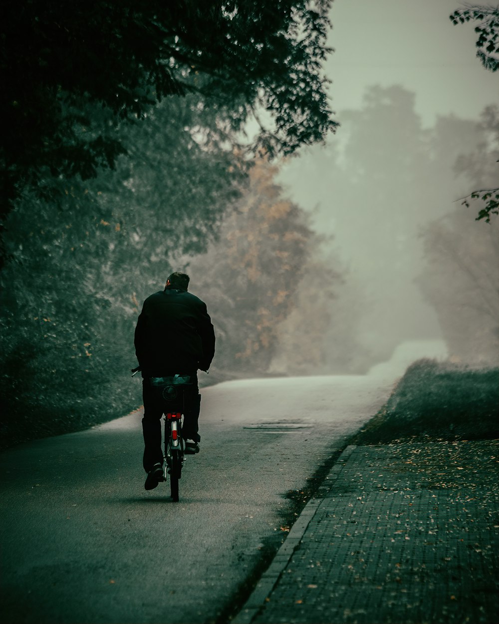 a person riding a bicycle on a foggy road